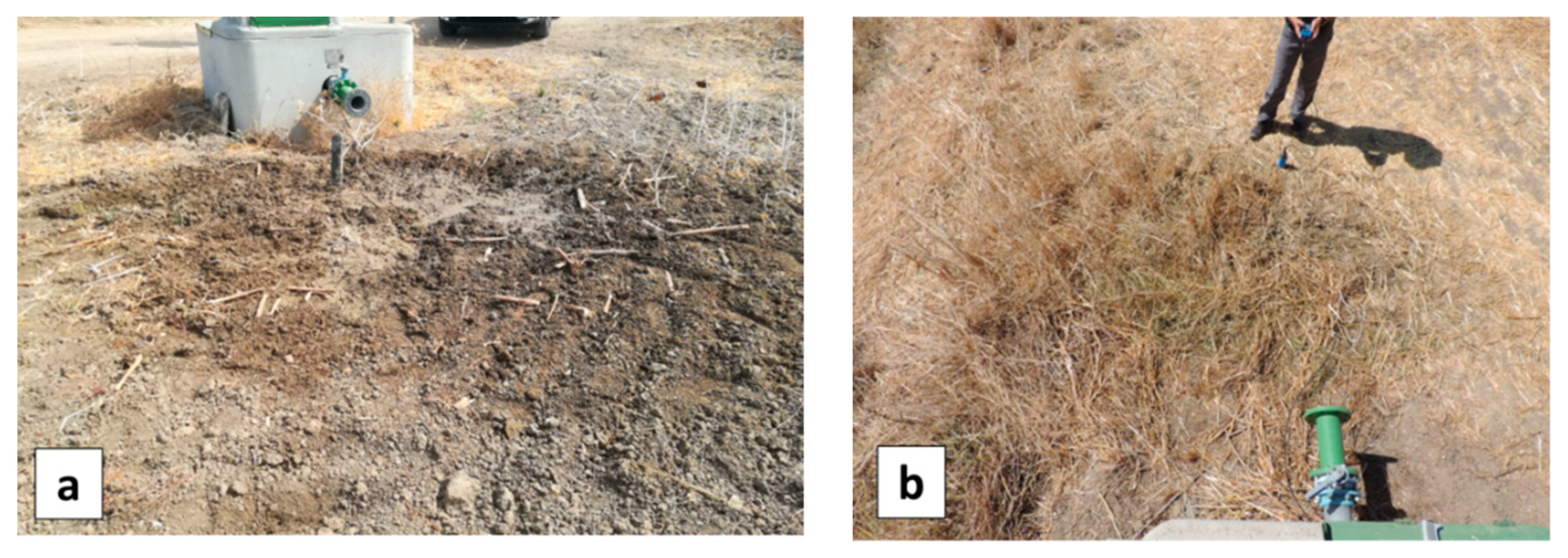 Sensors 22 01057 g021 550