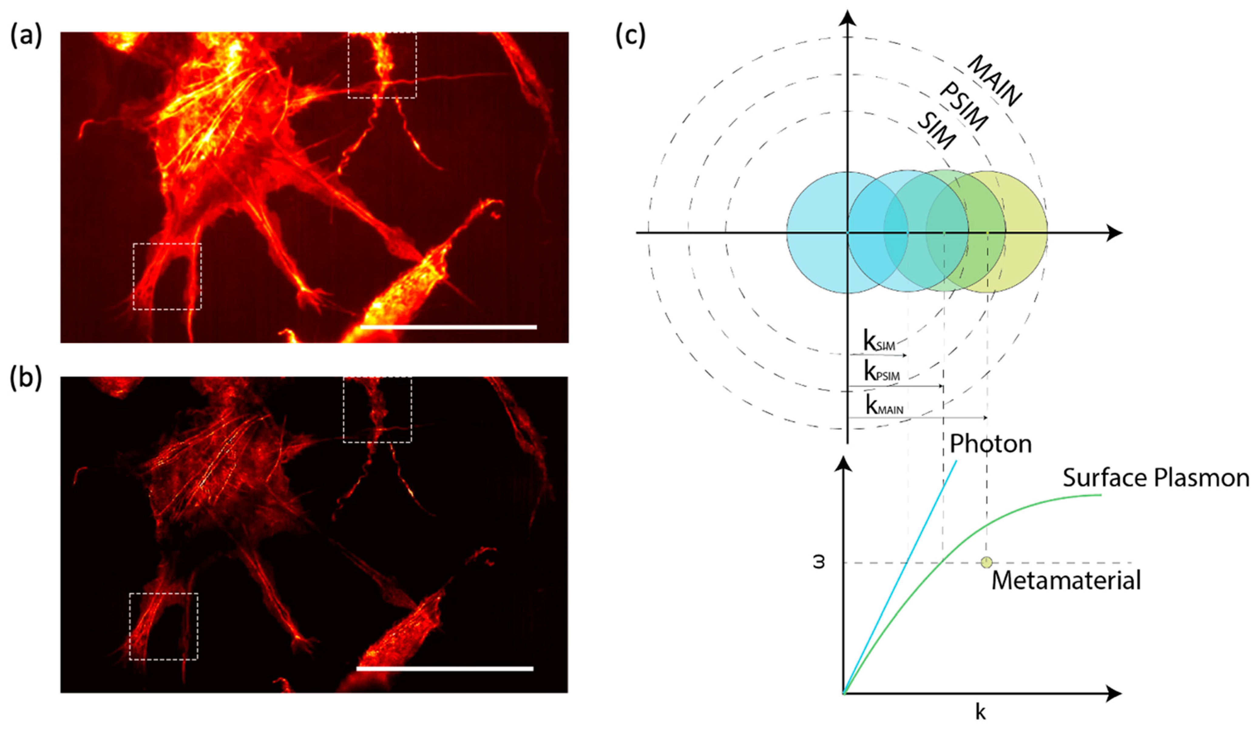 Sensors 22 01086 g010