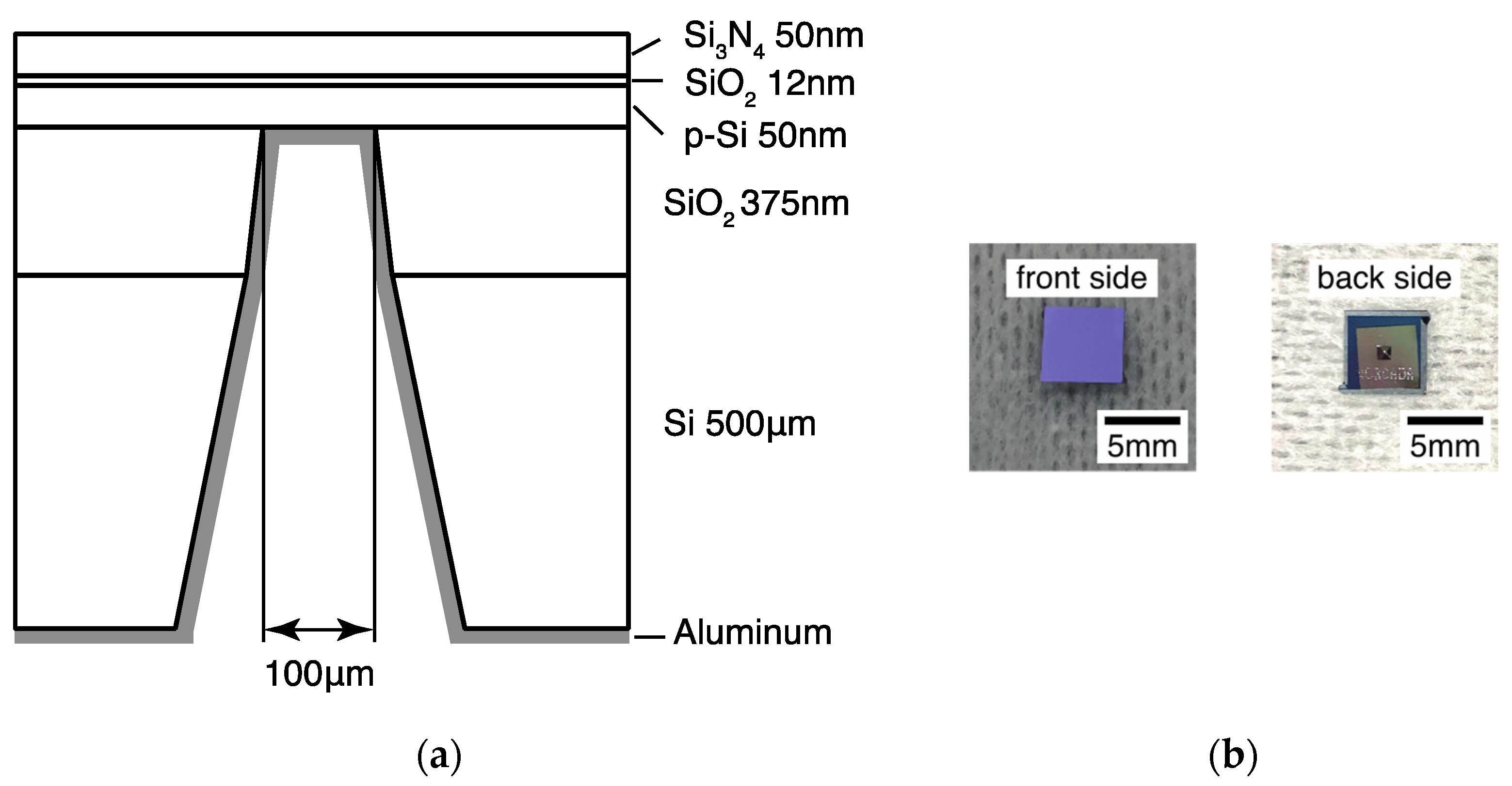 Sensors 22 01112 g004 550