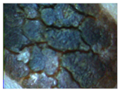 Sensors 22 01123 i003