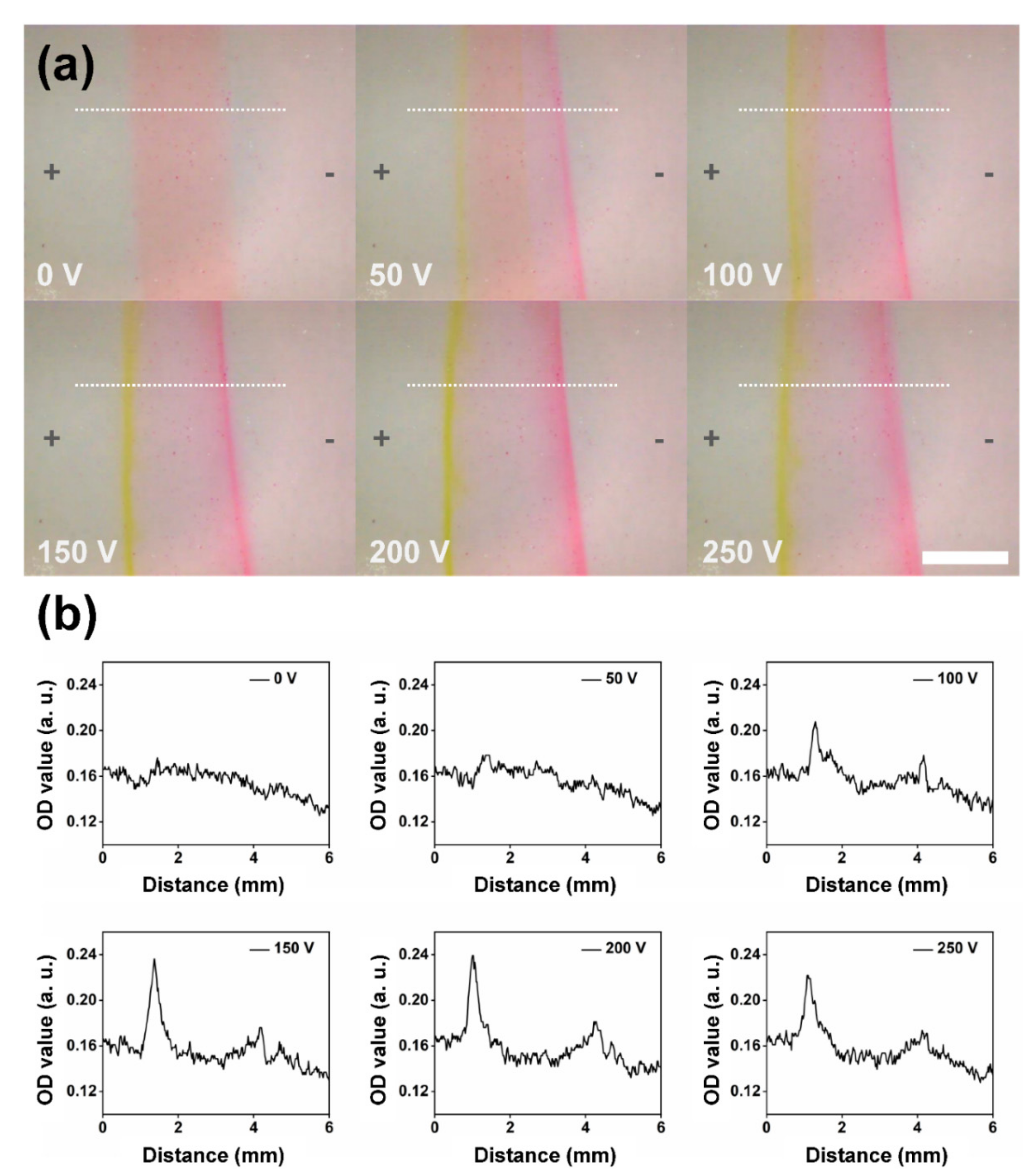 Sensors 22 01124 g003