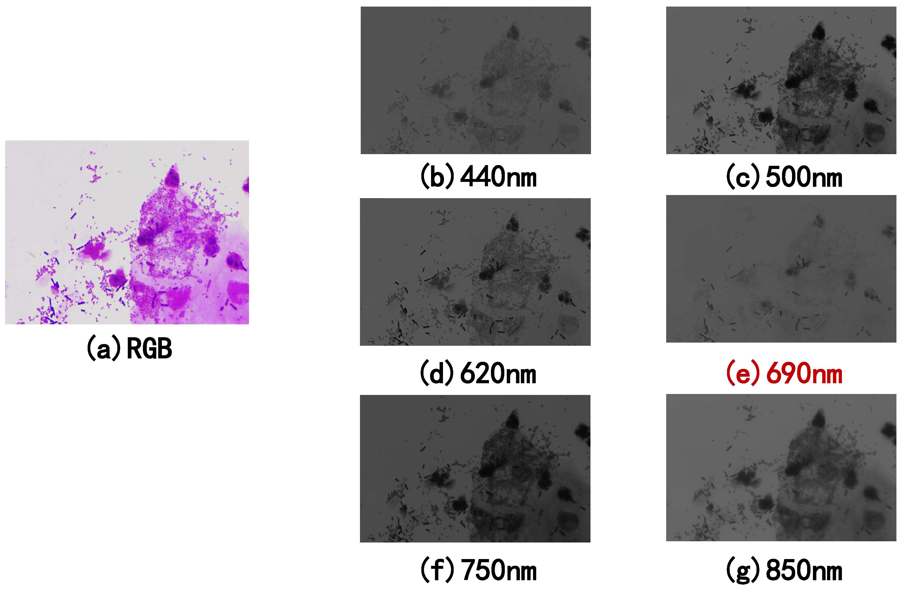 Sensors 22 01132 g005