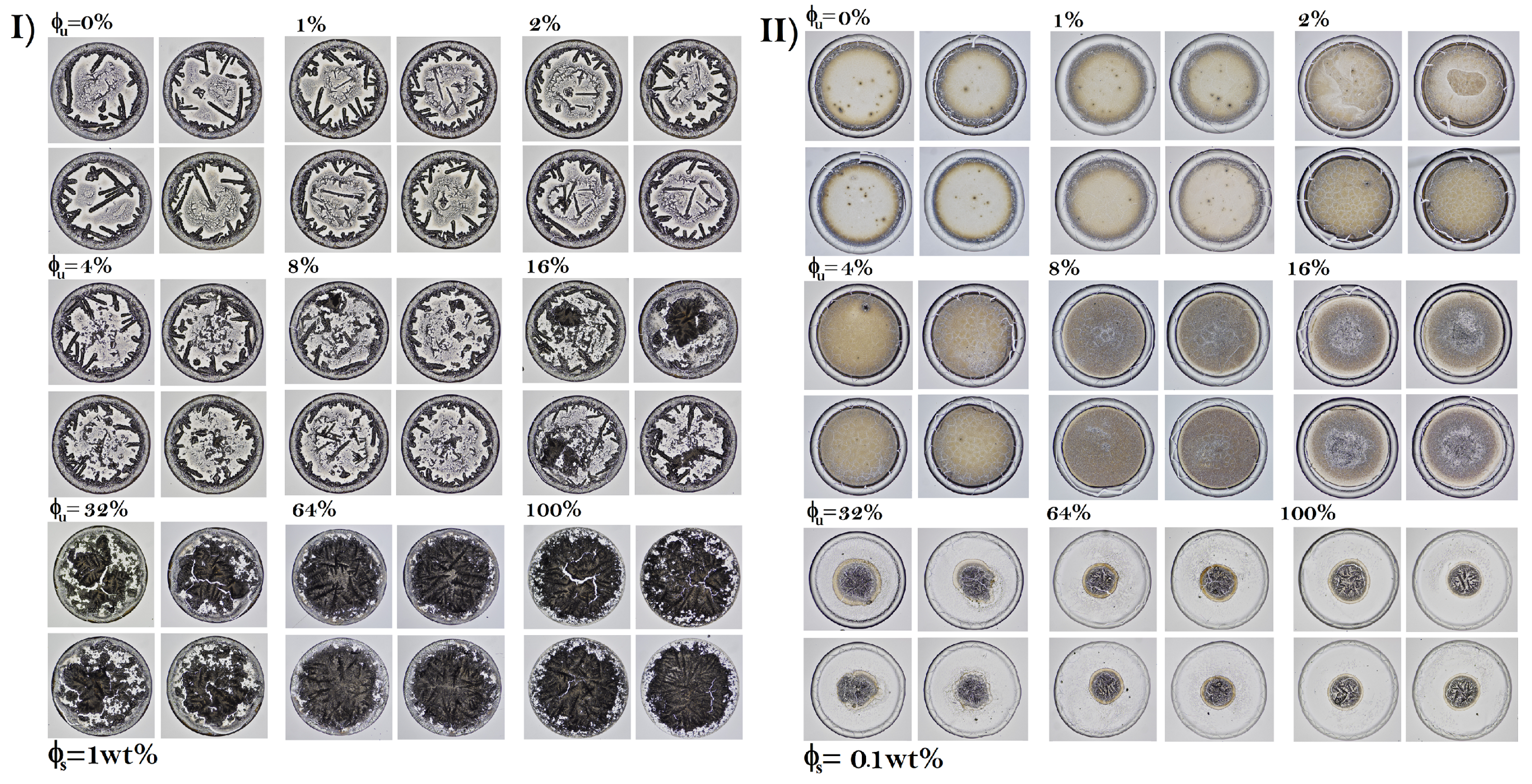 Sensors 22 01156 g003