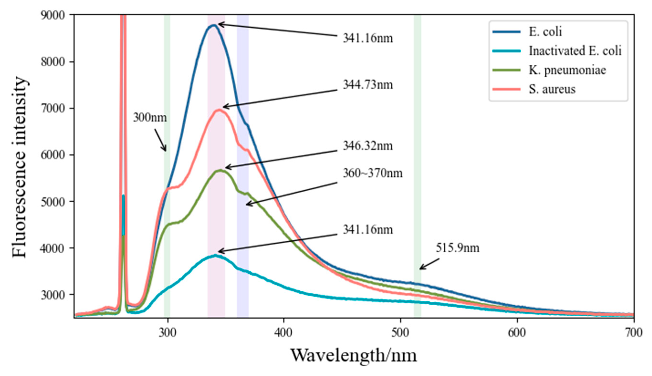 Sensors Free FullText Rapid Detection of Three Common Bacteria