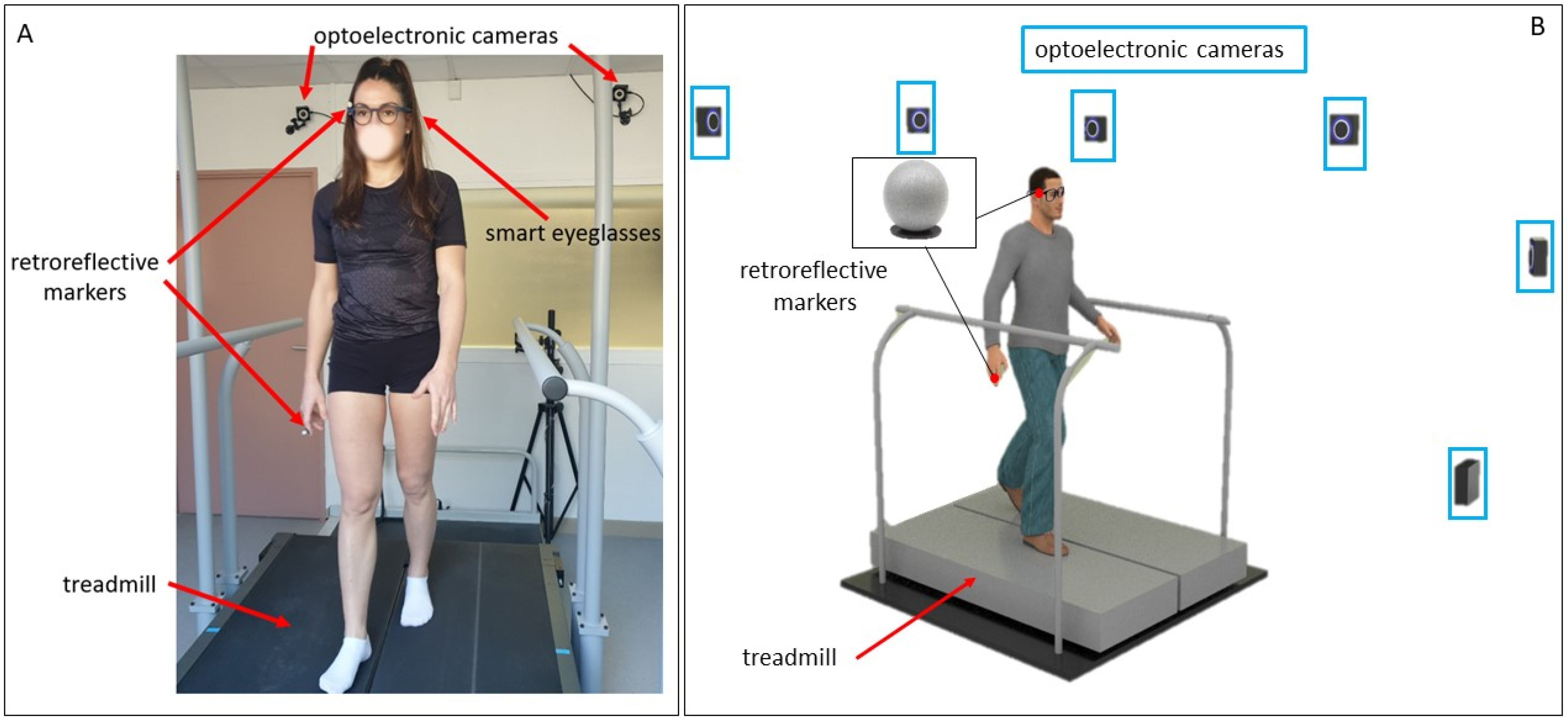 Dynamic treadmill 901 cheap