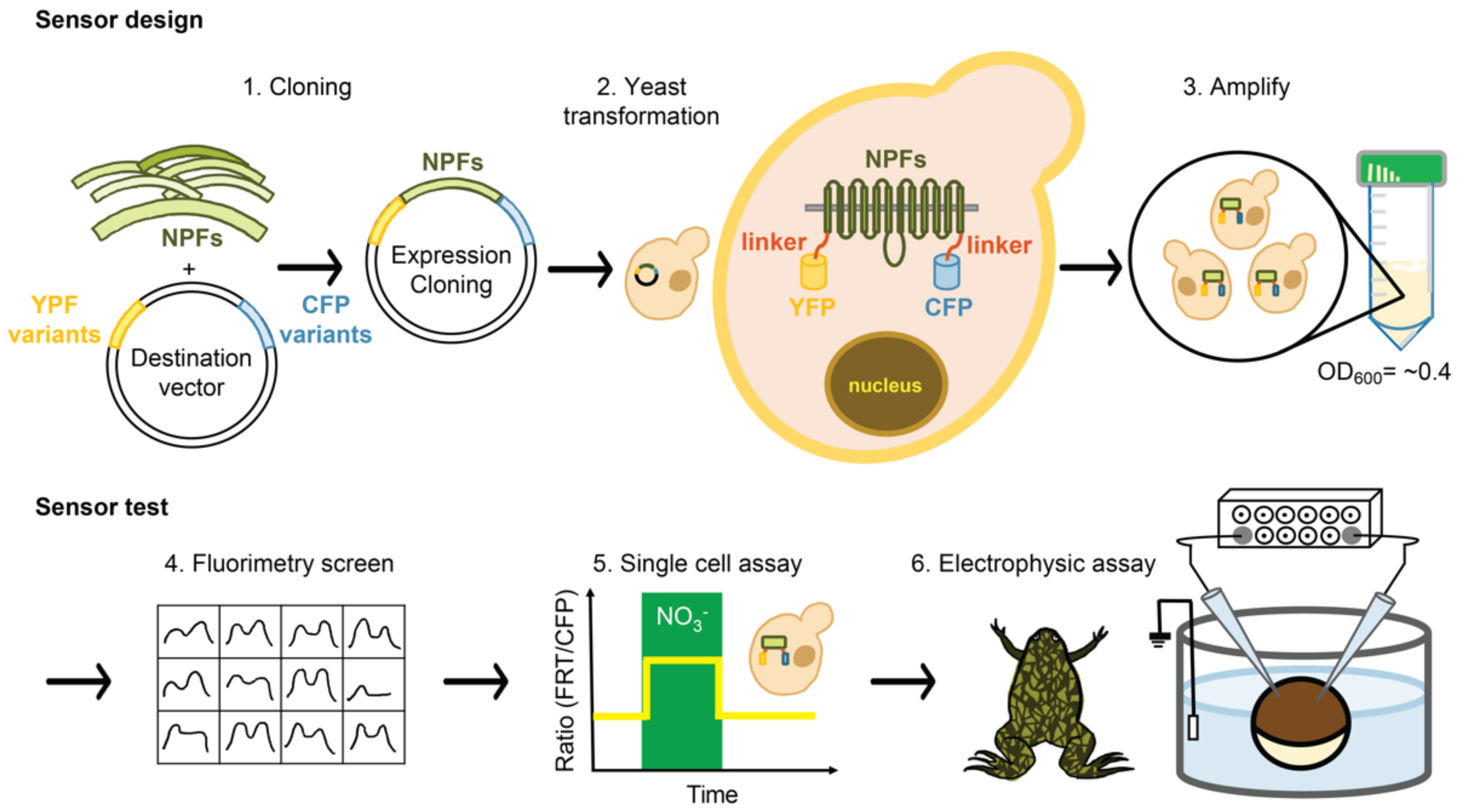Sensors 22 01198 g001