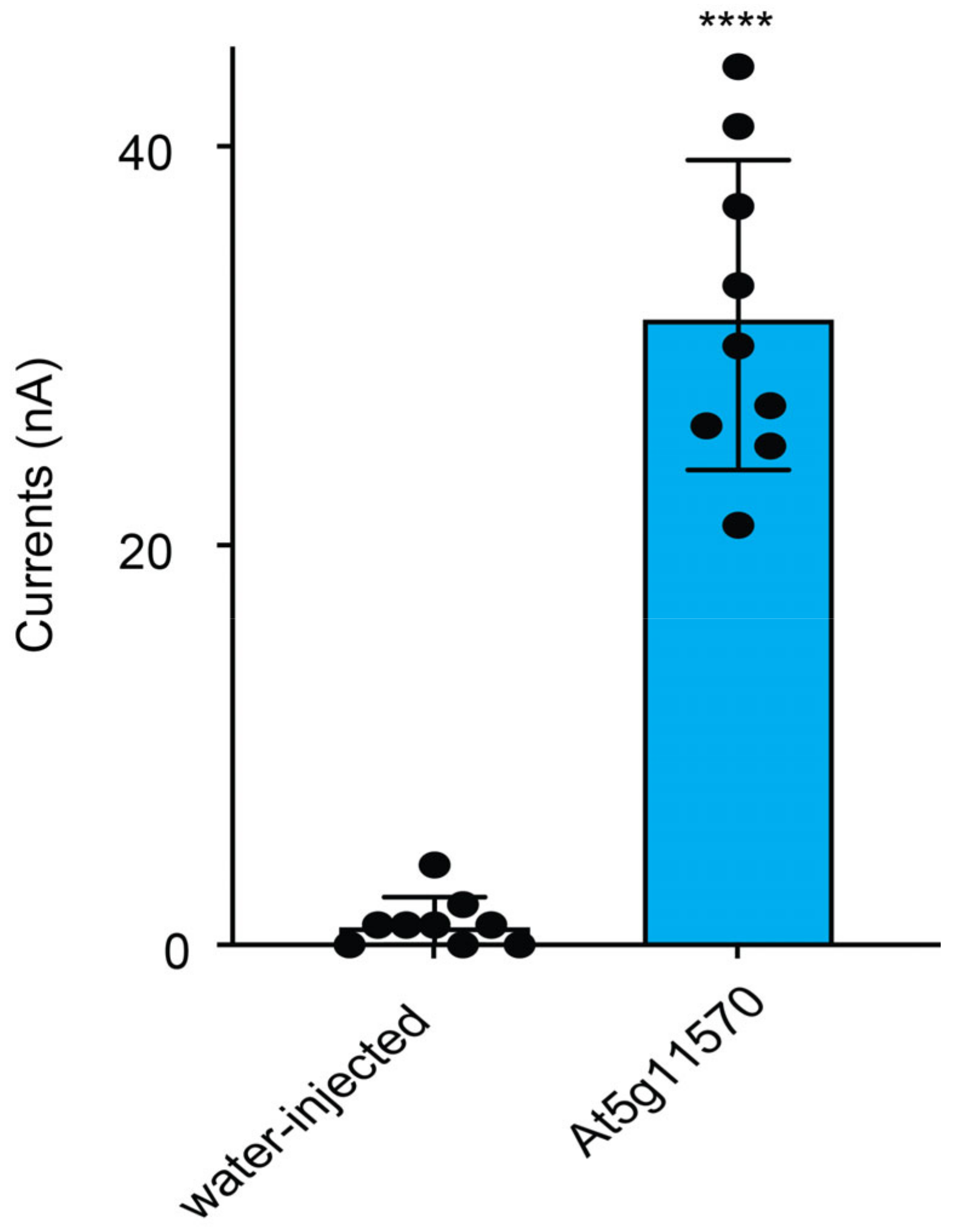 Sensors 22 01198 g005