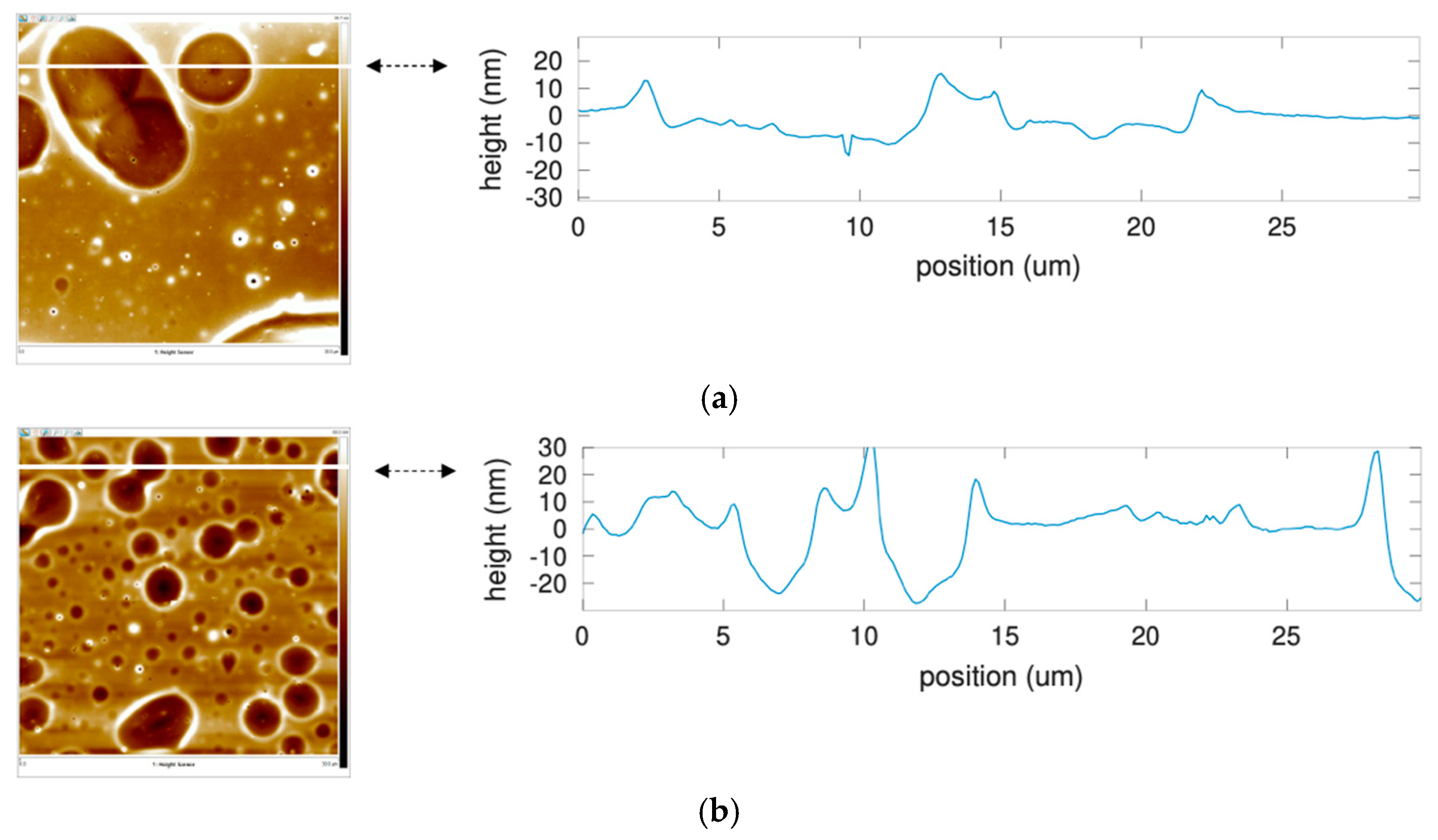 Sensors 22 01203 g009 550