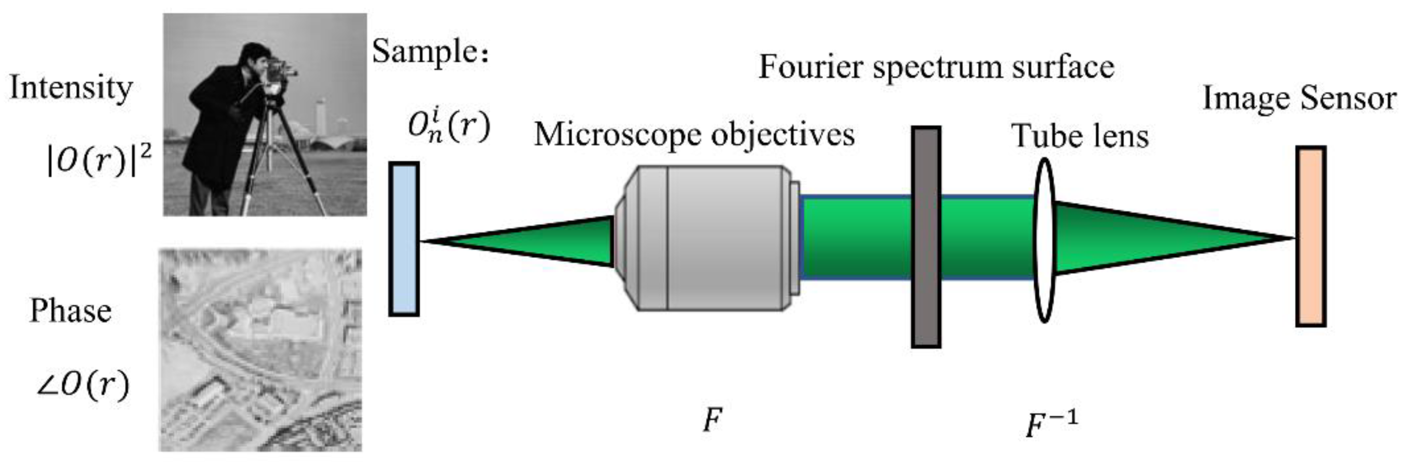 Sensors 22 01237 g001