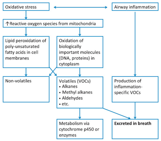 Breath Analysis: A Promising Tool for Disease Diagnosis—The Breath Analysis: A Promising Tool for Disease Diagnosis—The