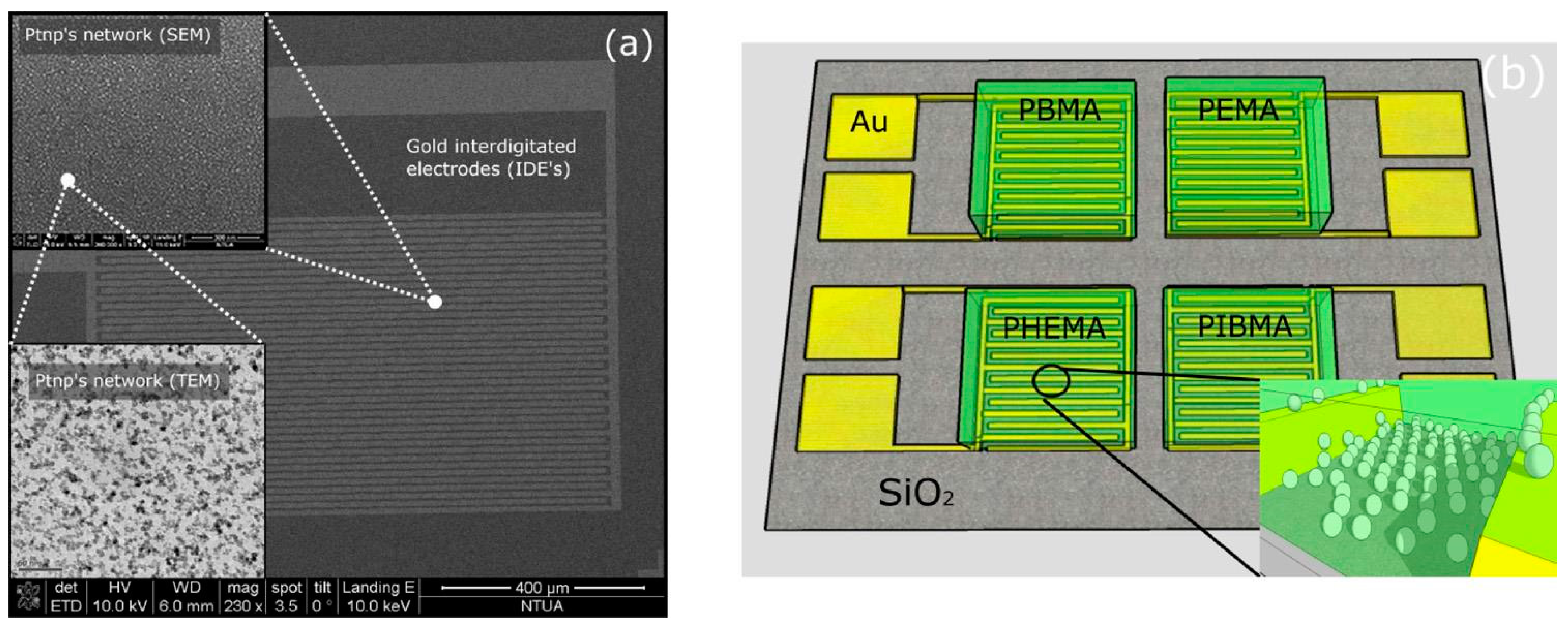Sensors 22 01238 g007 550