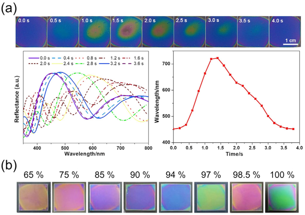 Sensors 22 01251 g011 Sensors 22 01251 g011