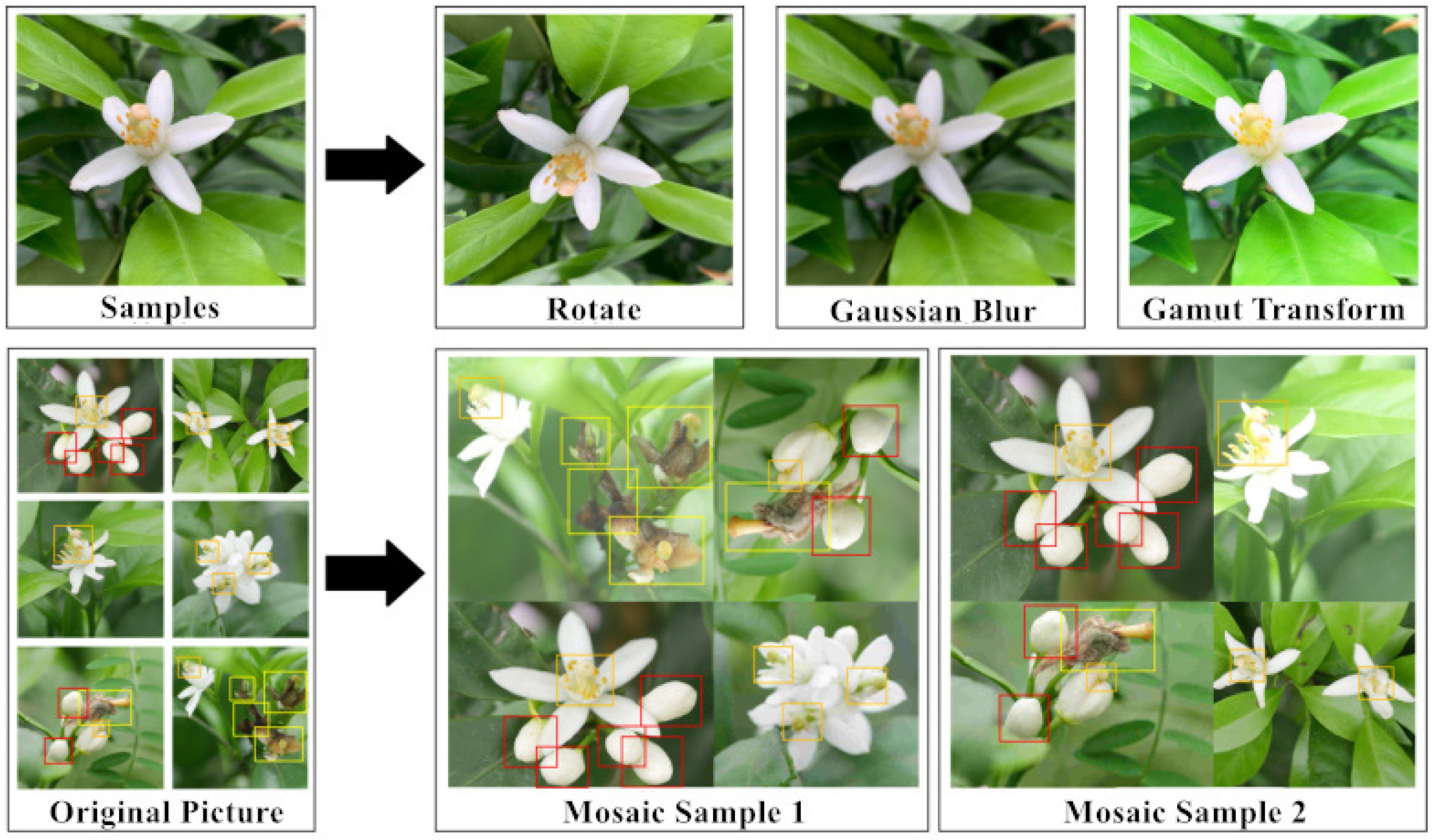 Sensors 22 01255 g002 550