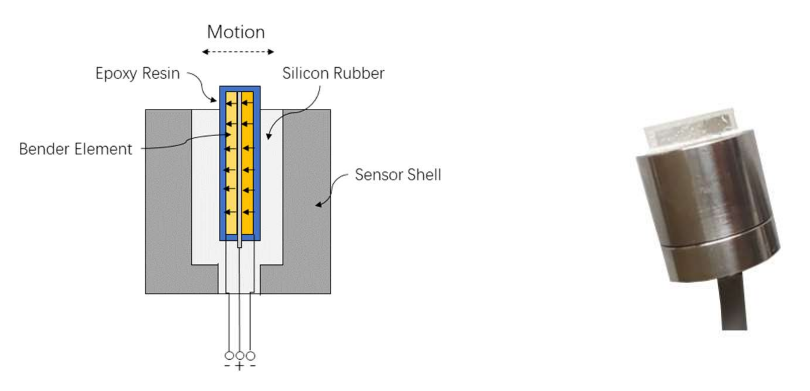 Sensors Free FullText Effect of Wave Attenuation on Shear Wave