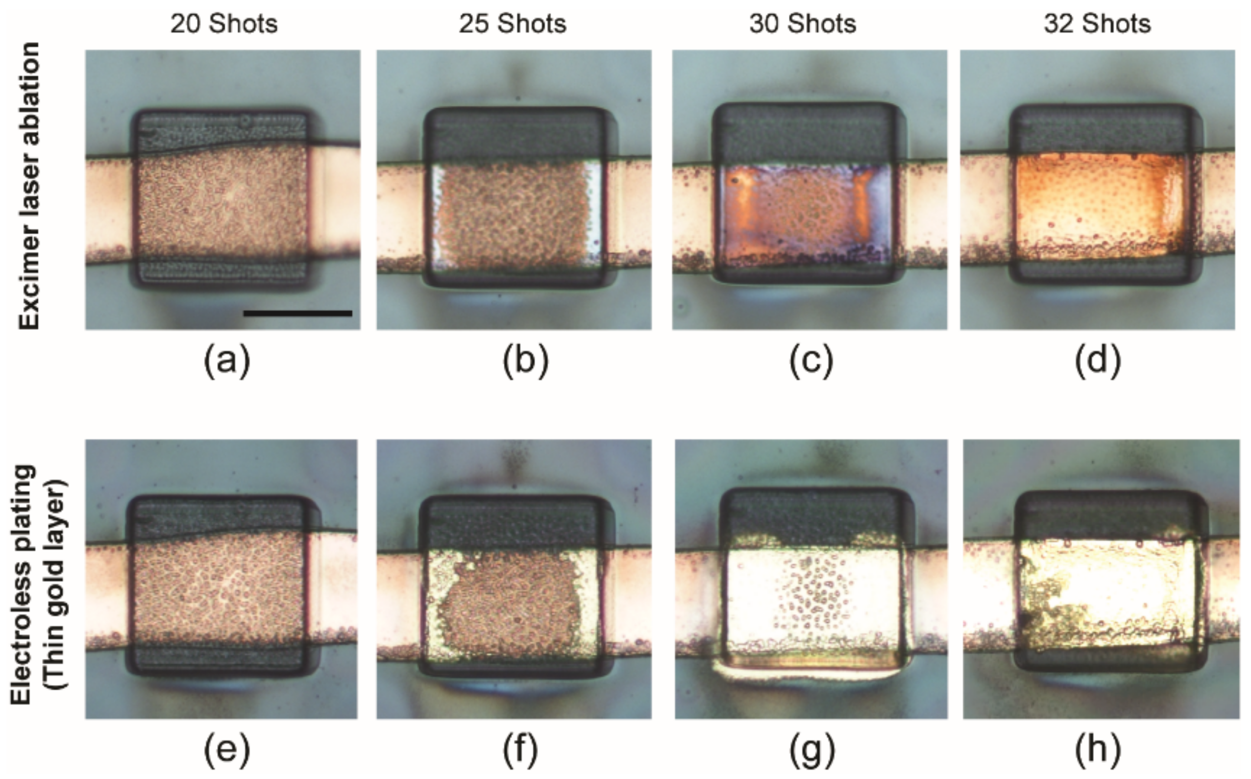 Sensors 22 01277 g005