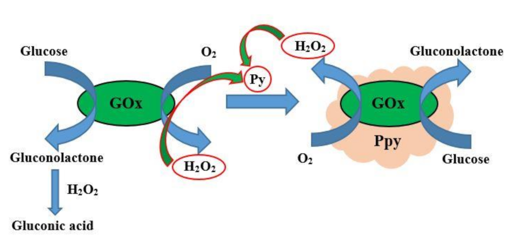 Sensors 22 01282 g001 550