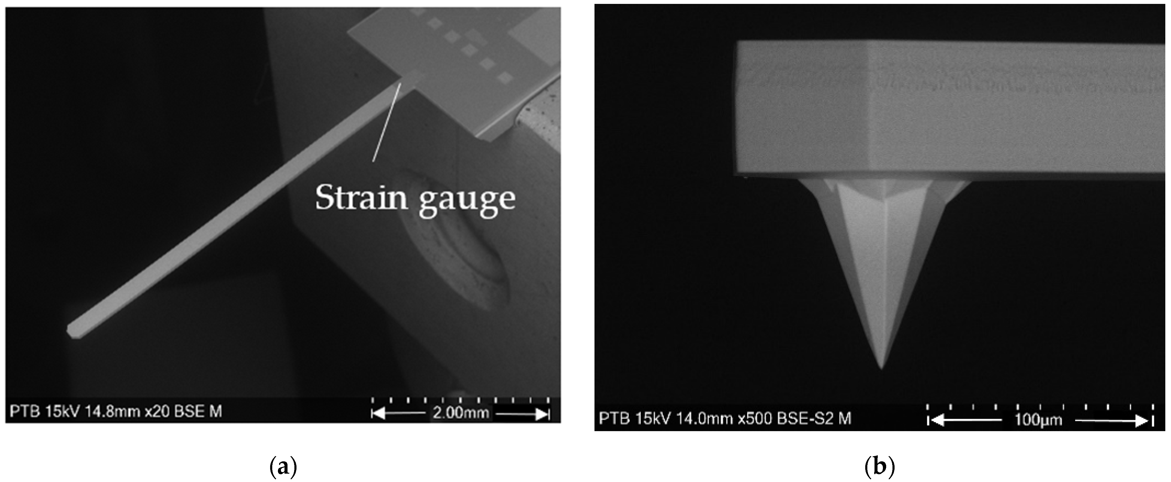 Sensors 22 01298 g001