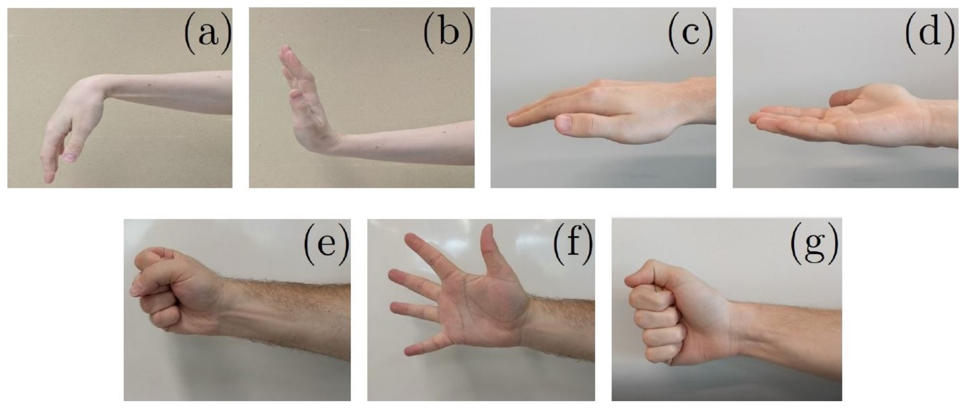 Sensors 22 01321 g002 550