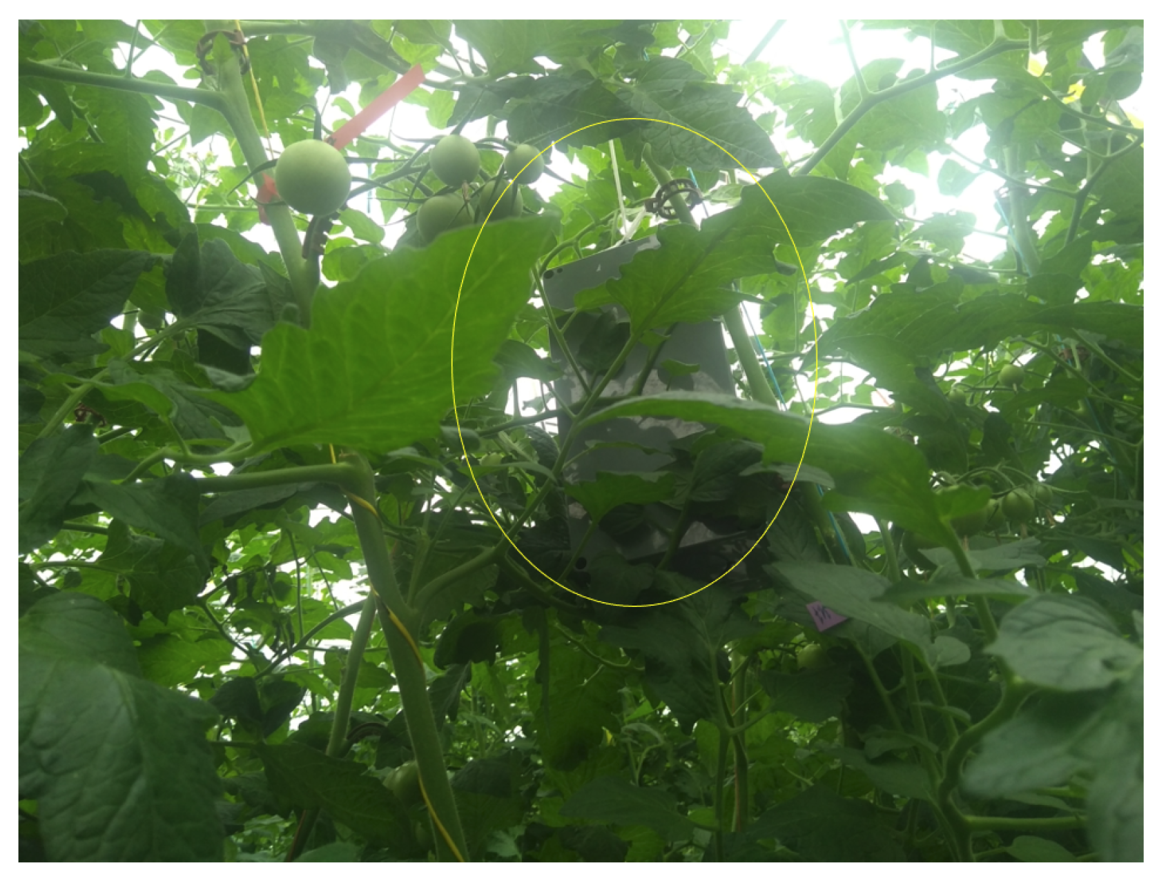 Sensors 22 01326 g016 550