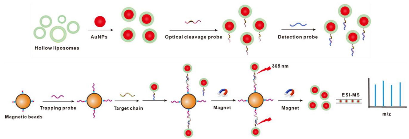 Sensors 22 01346 g001