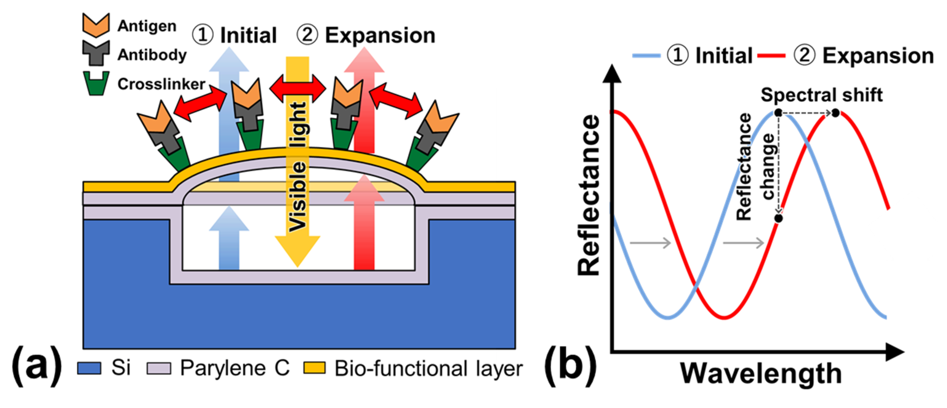 Sensors 22 01356 g001