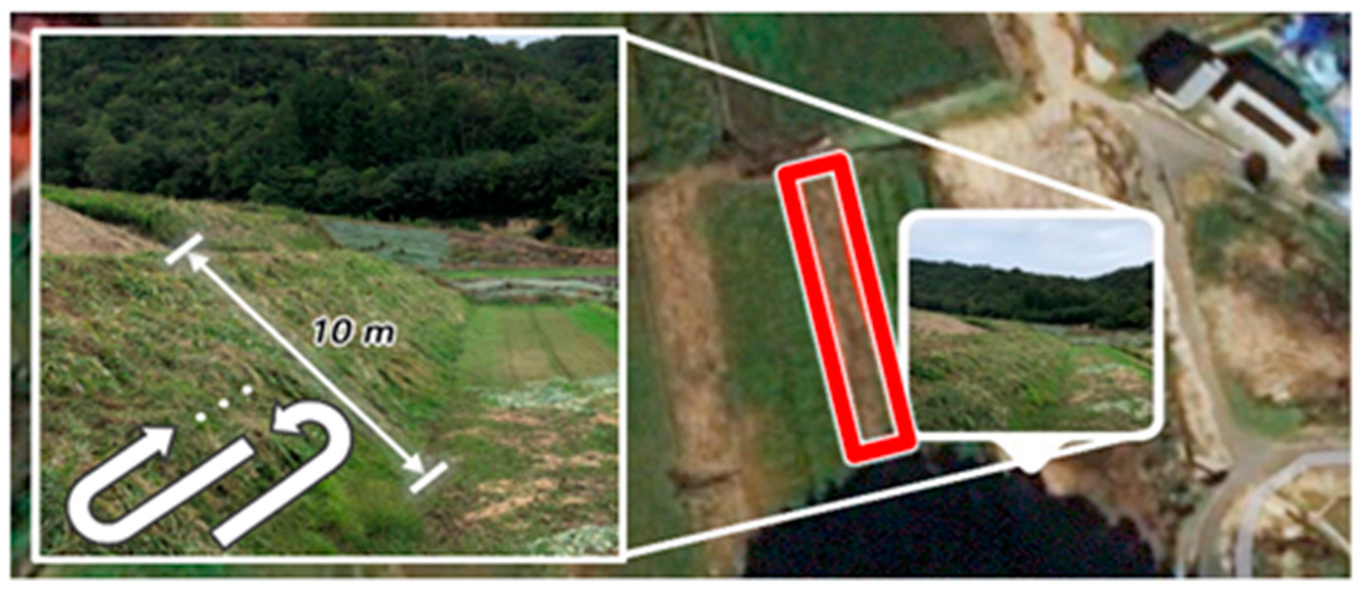 Sensors 22 01372 g004