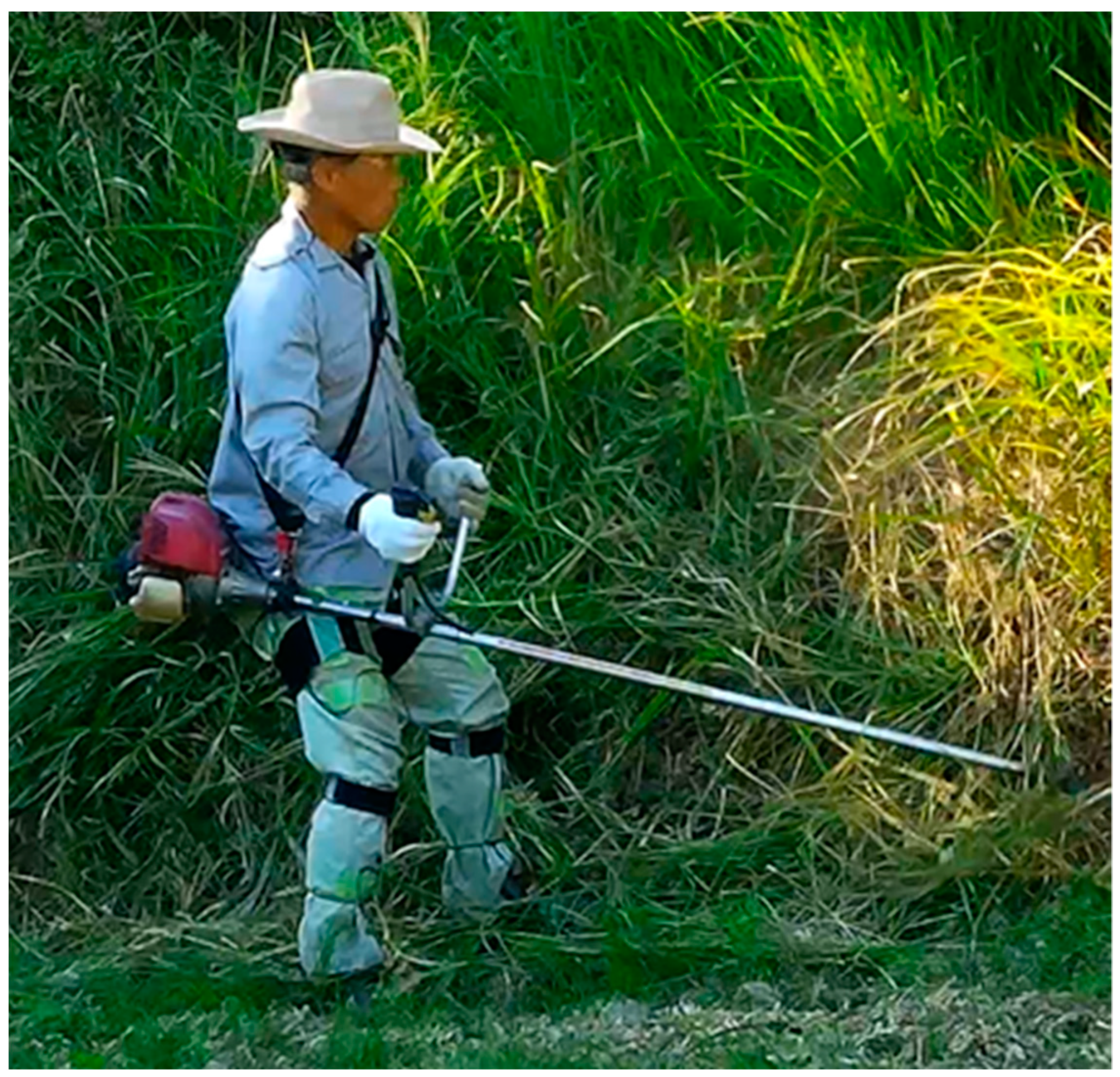 Sensors 22 01372 g005