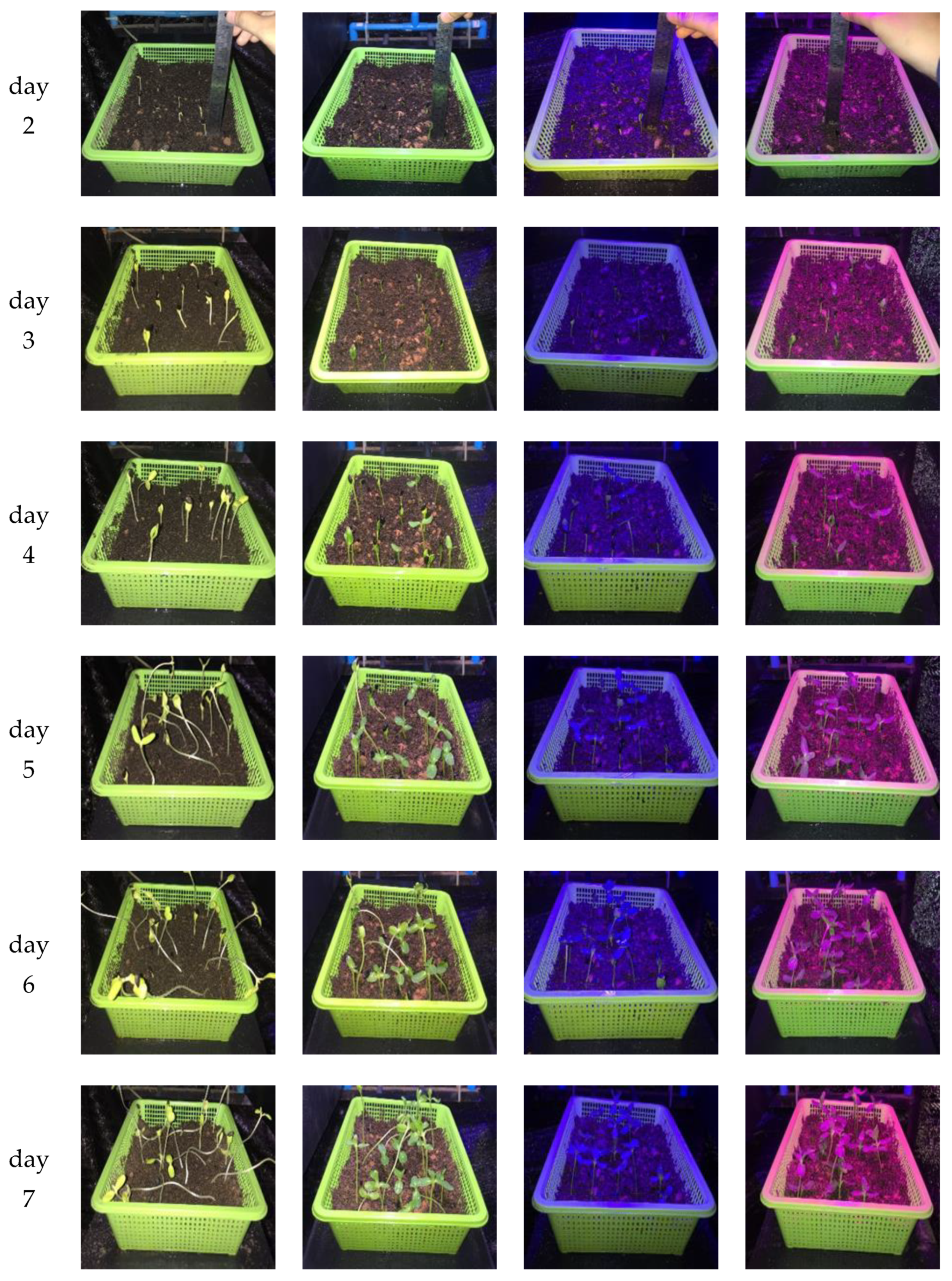Sensors 22 01503 g006b Sensors 22 01503 g006b
