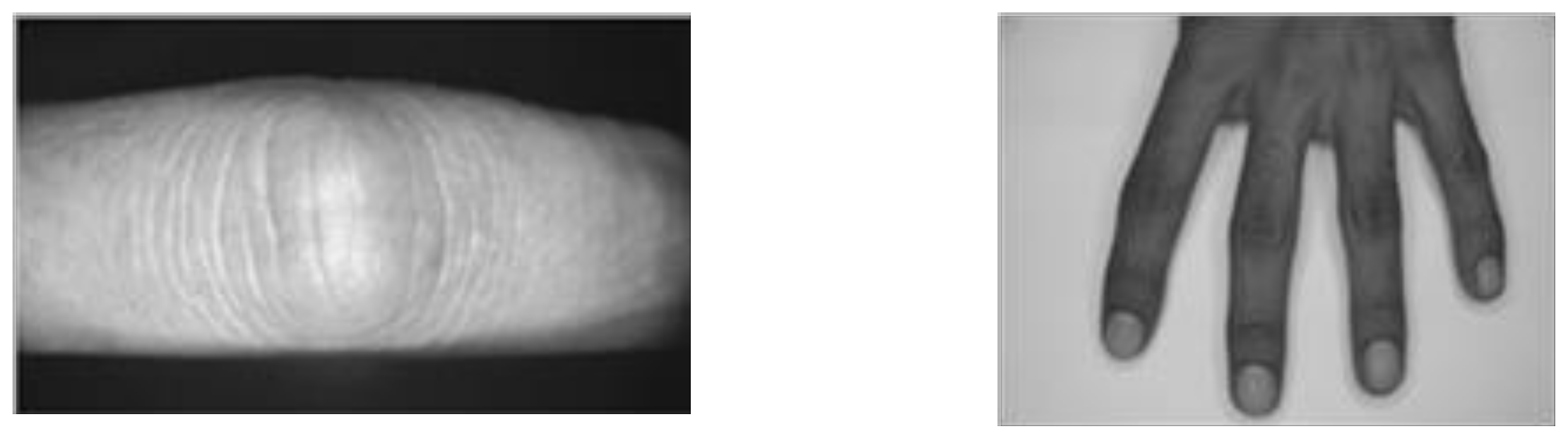 Sensors 22 01569 g006 550