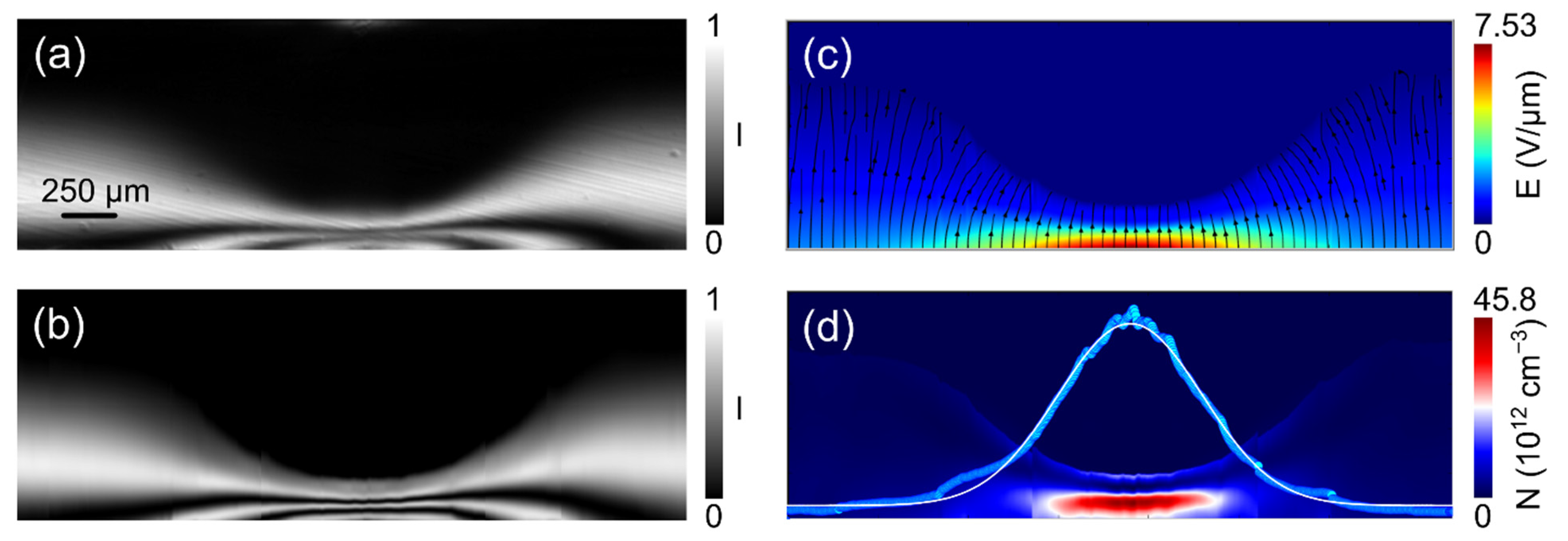Sensors 22 01579 g005 550
