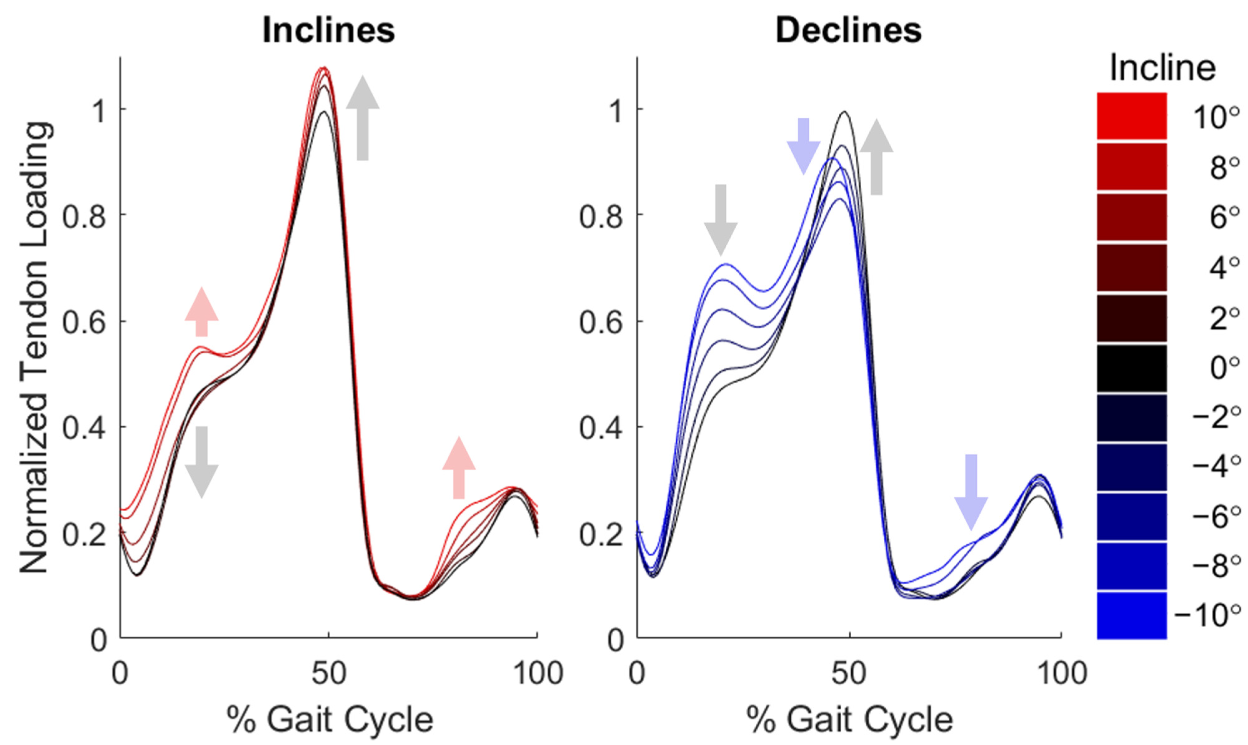 Sensors 22 01589 g003 550
