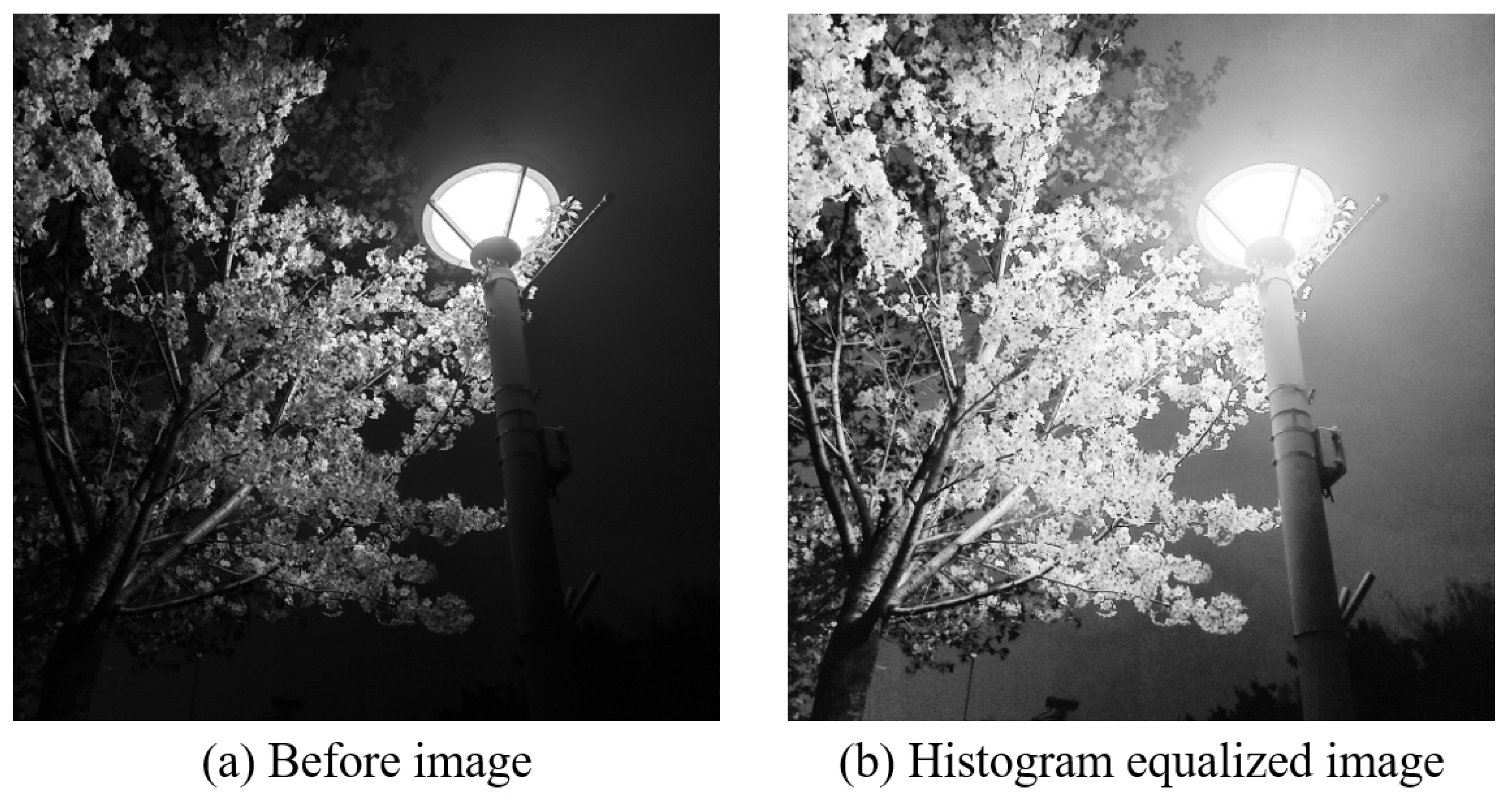 Sensors 22 01601 g019