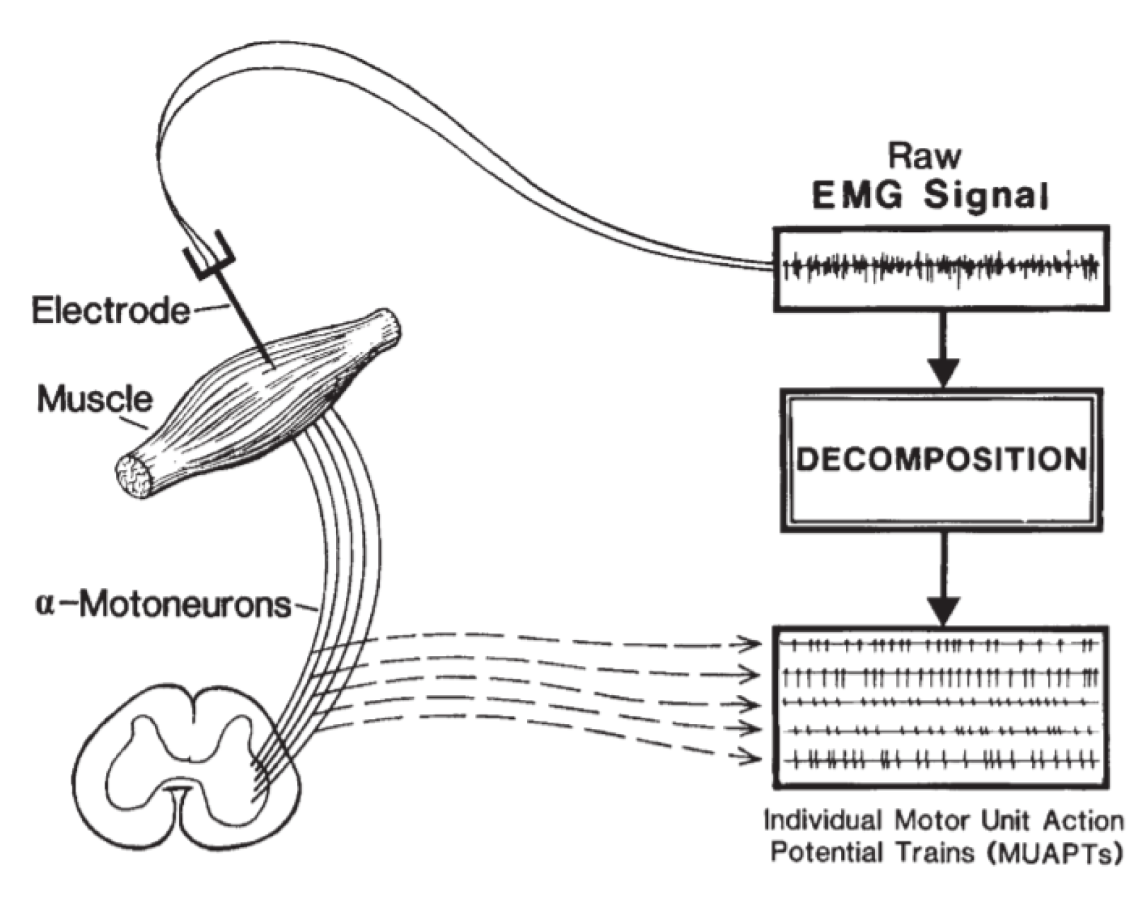 Sensors 22 01604 g001 550