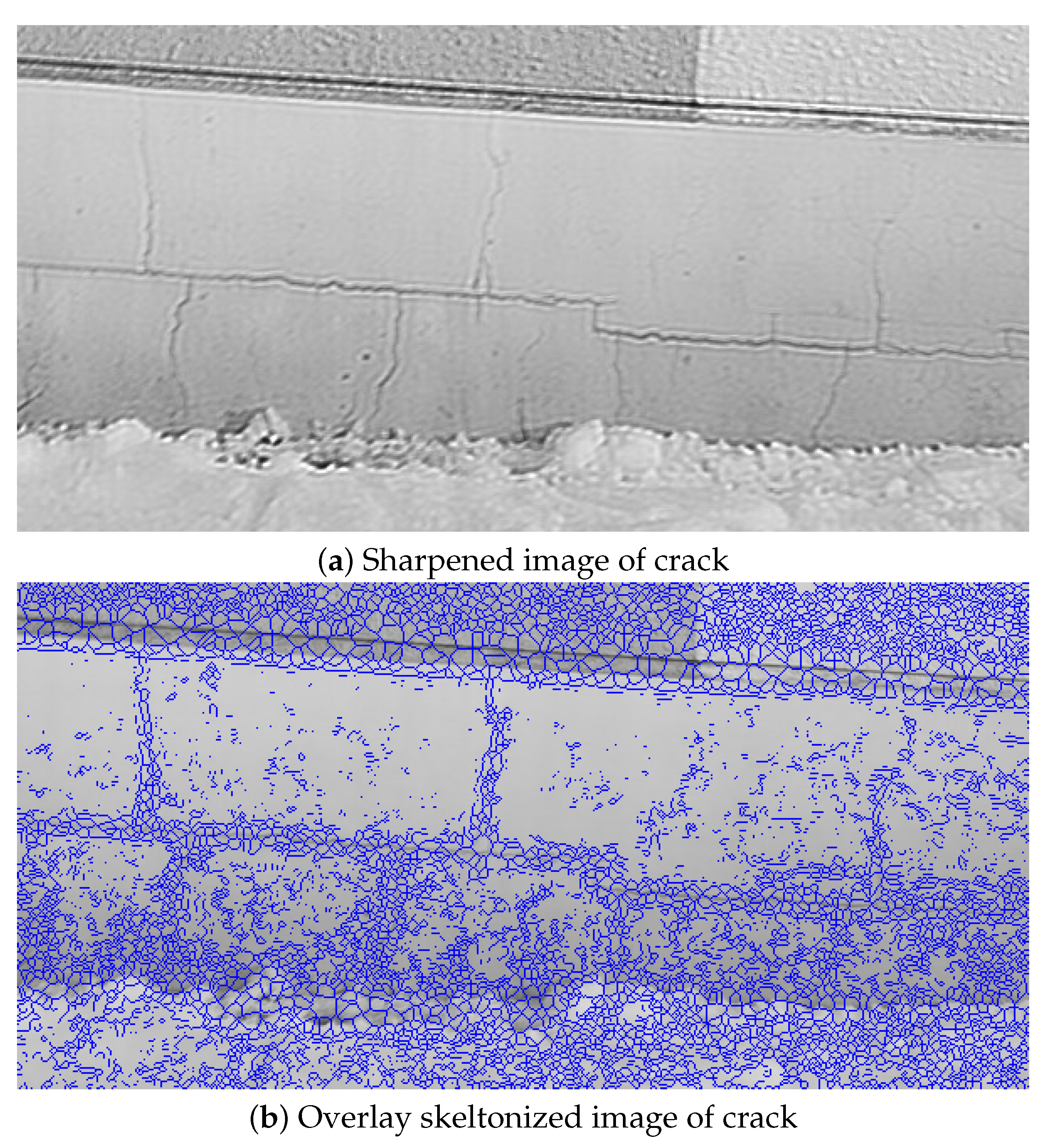 Sensors 22 01635 g019 550