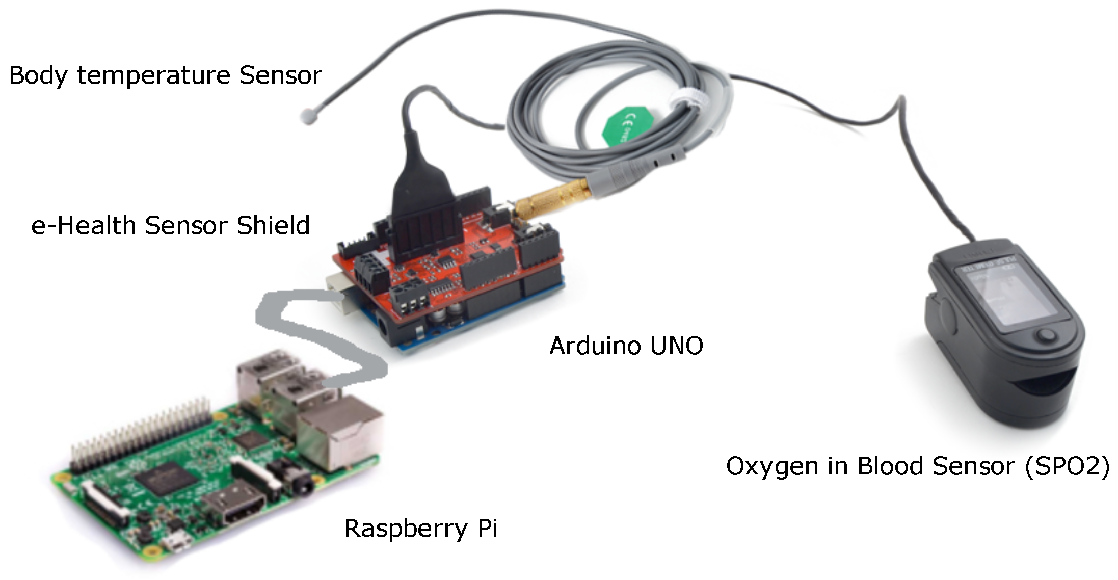 Arduino vs Raspberry Pi: A Maker's Guide to Environmental Sensors - LTER