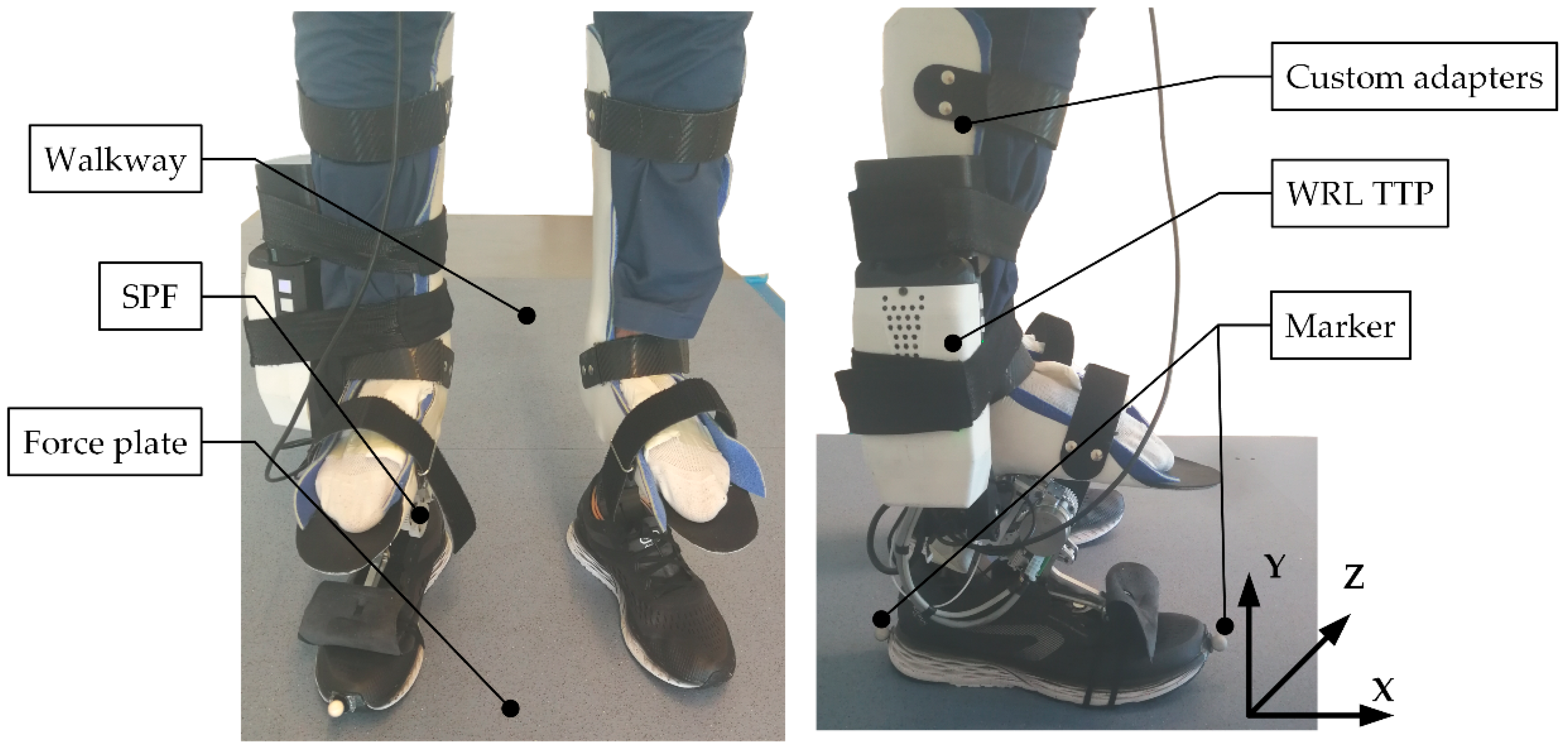 Sensors 22 01731 g006 550