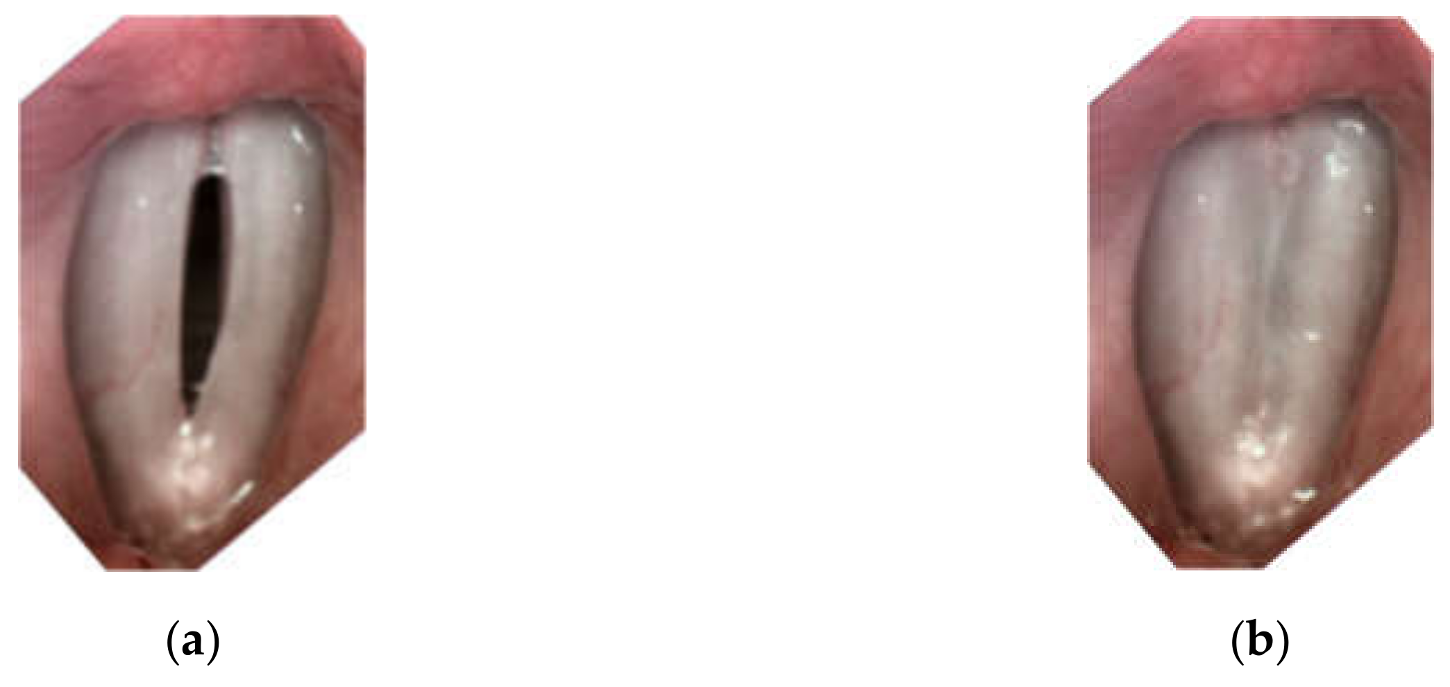 Sensors 22 01751 g001 550