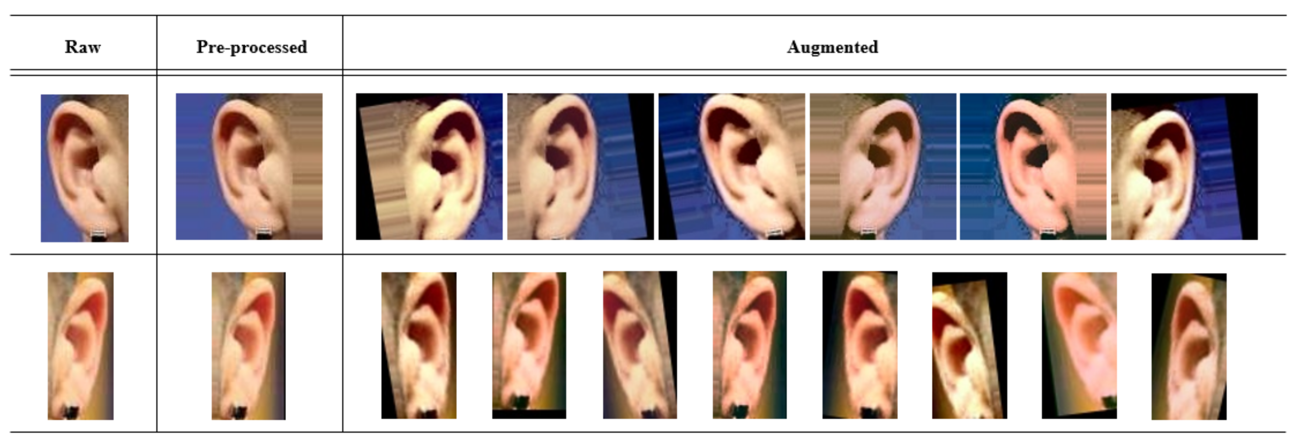 Sensors 22 01752 g007 550
