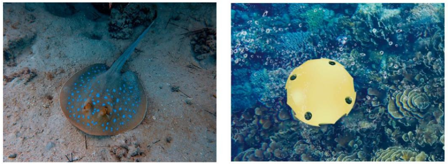 Sensors 22 01770 g001 Sensors 22 01770 g001