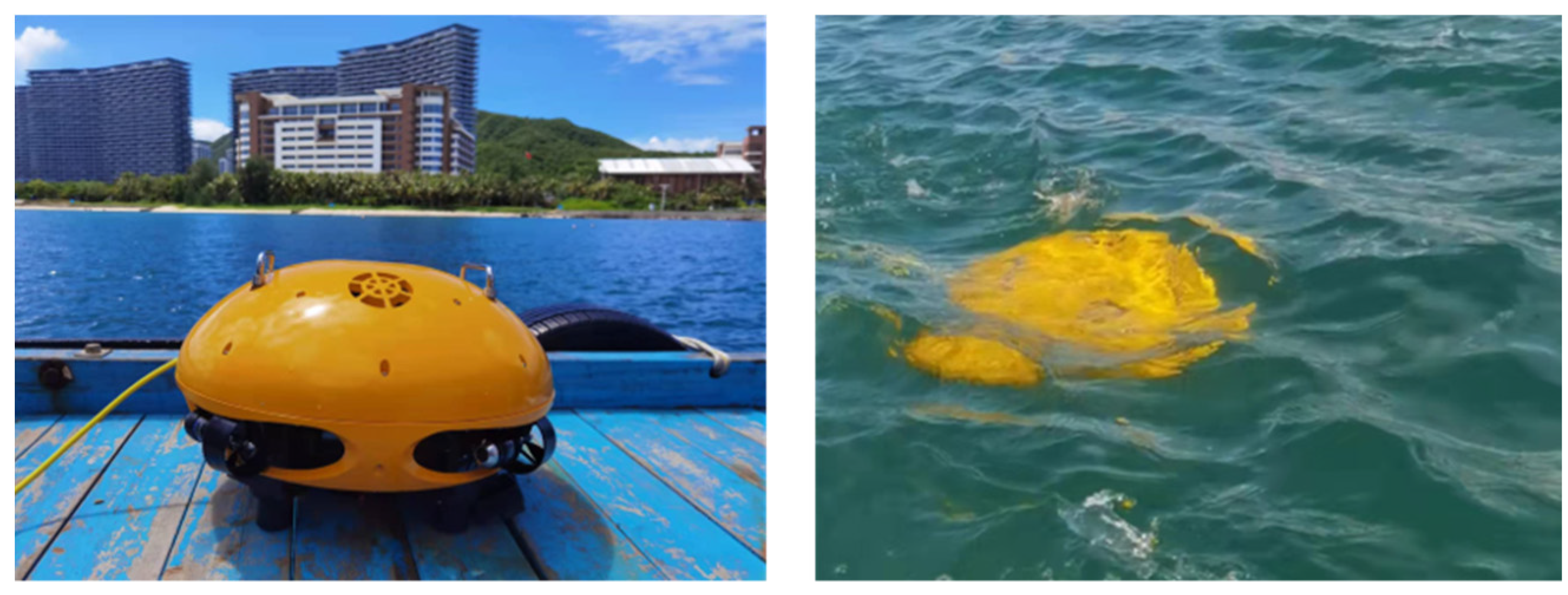 Sensors 22 01770 g015 Sensors 22 01770 g015