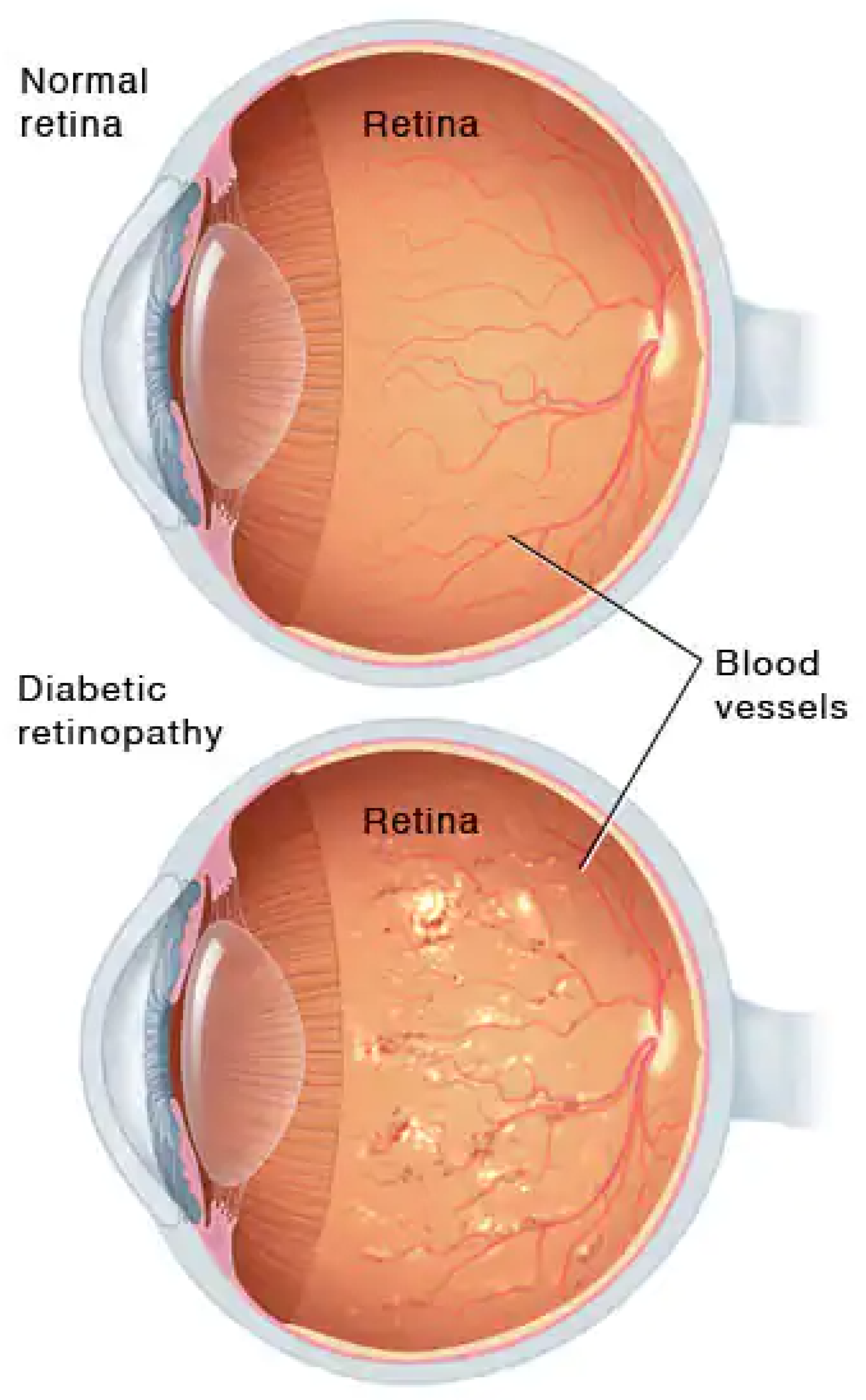Sensors 22 01803 g001 550