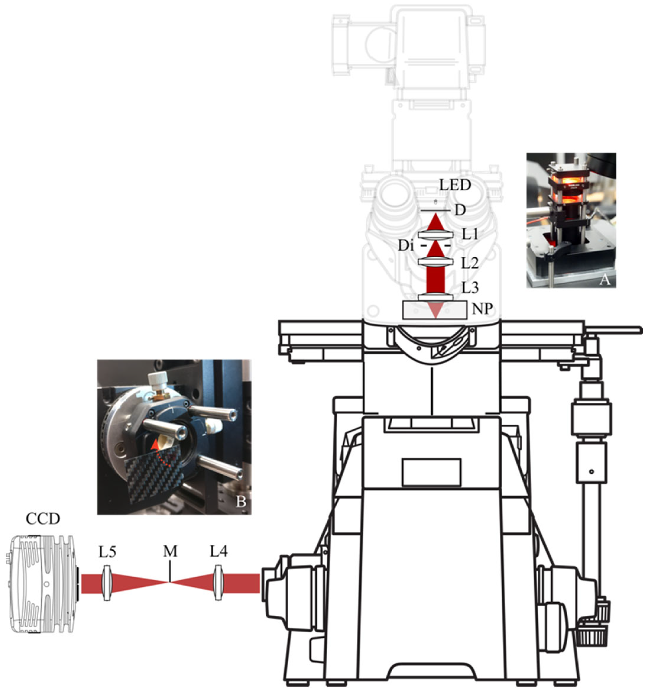 Sensors 22 01842 g001 550