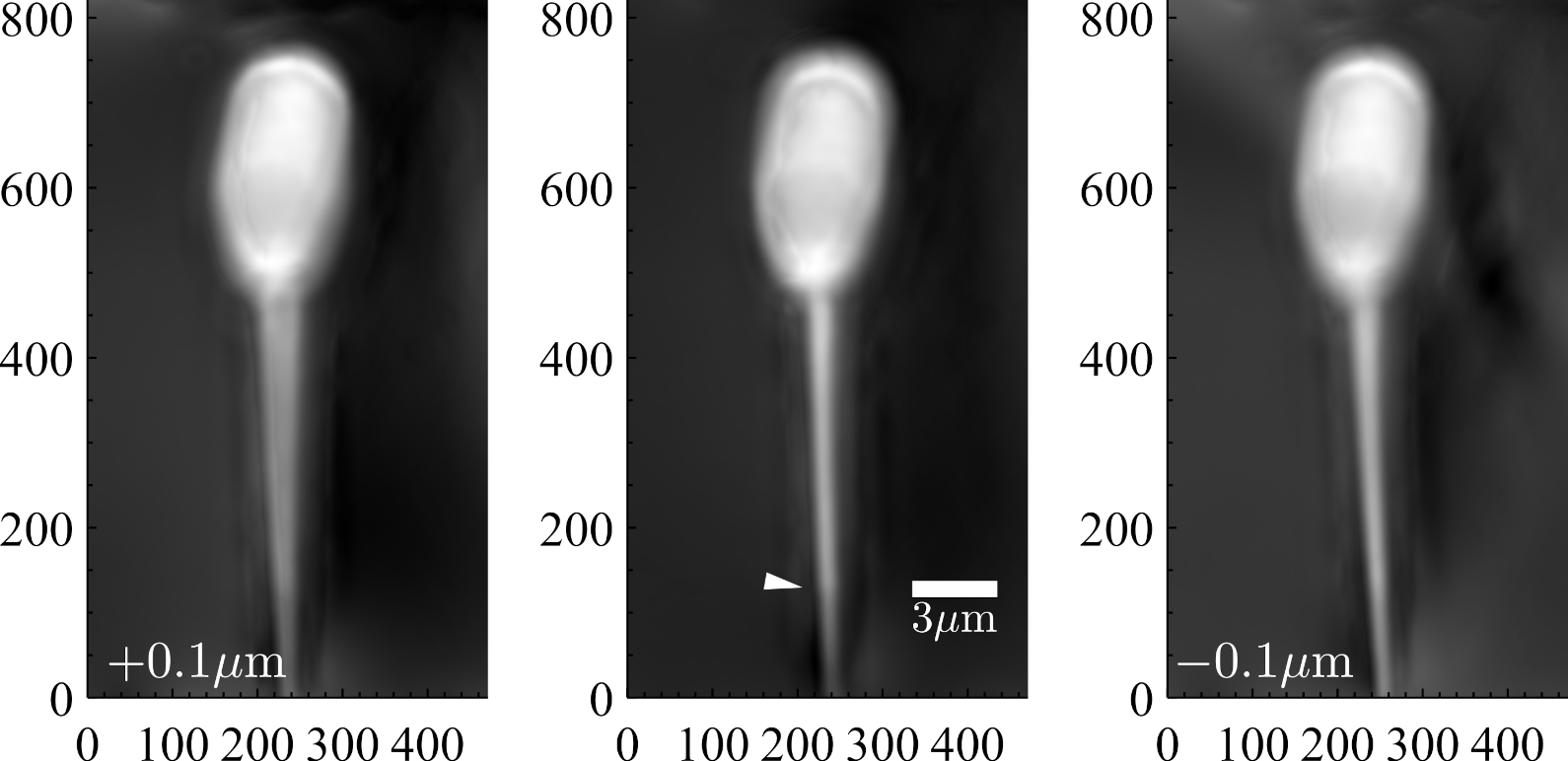 Sensors 22 01842 g006 550