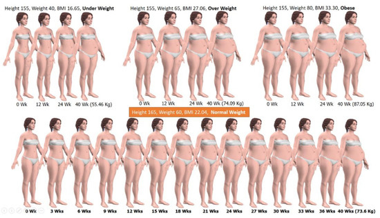 Female body visualizer metric