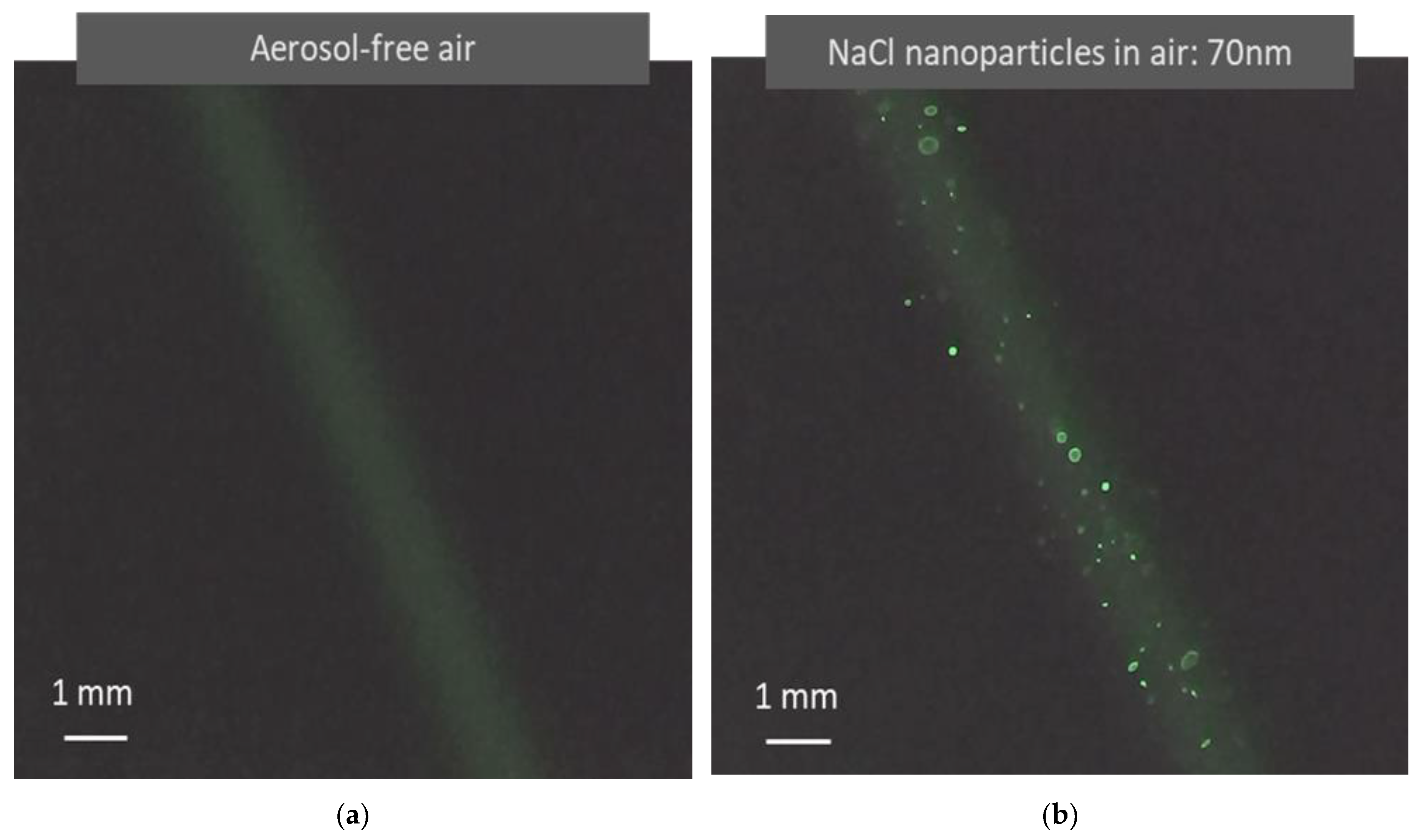 Sensors 22 02038 g004 550