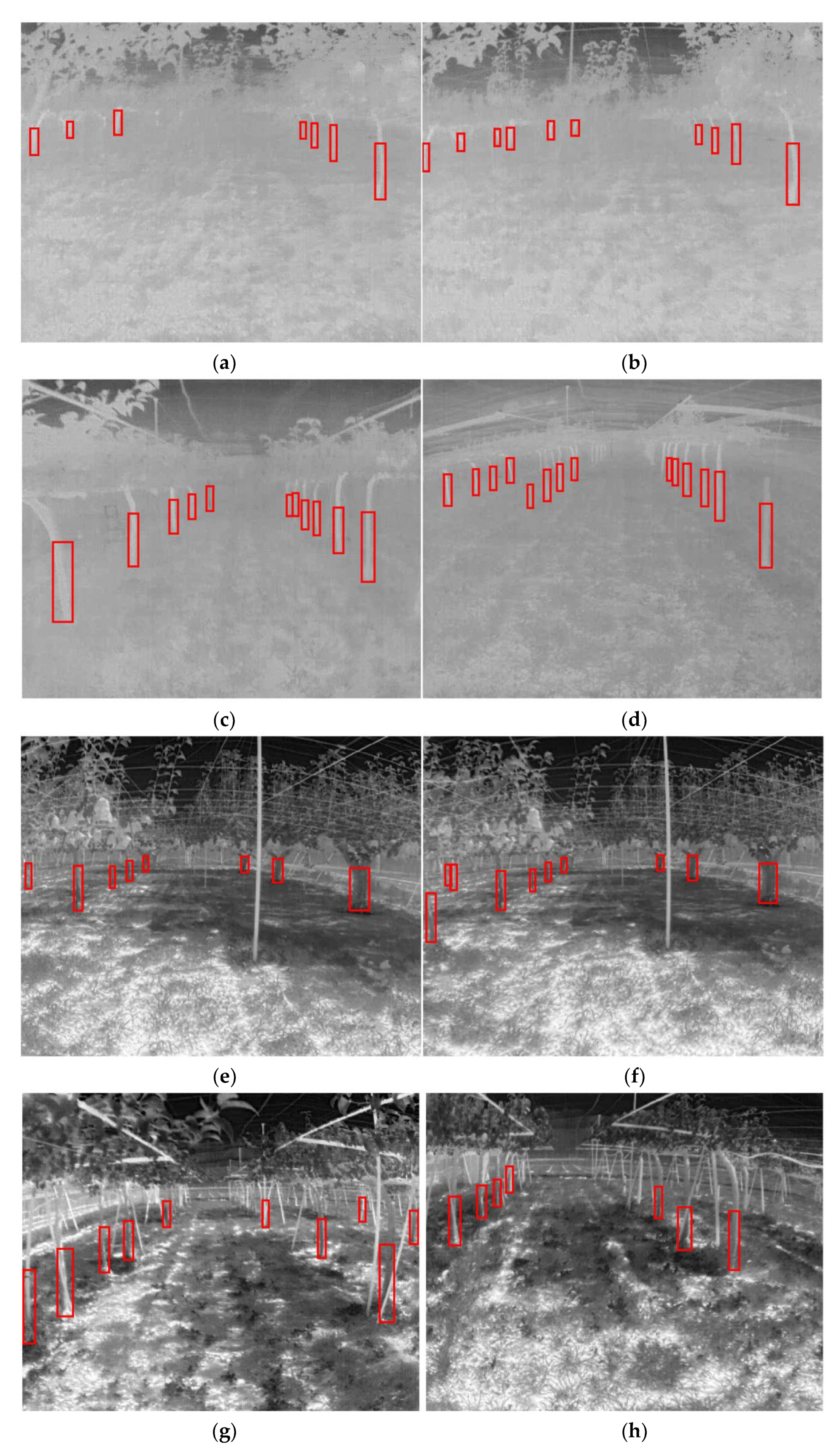 Sensors 22 02065 g013a 550