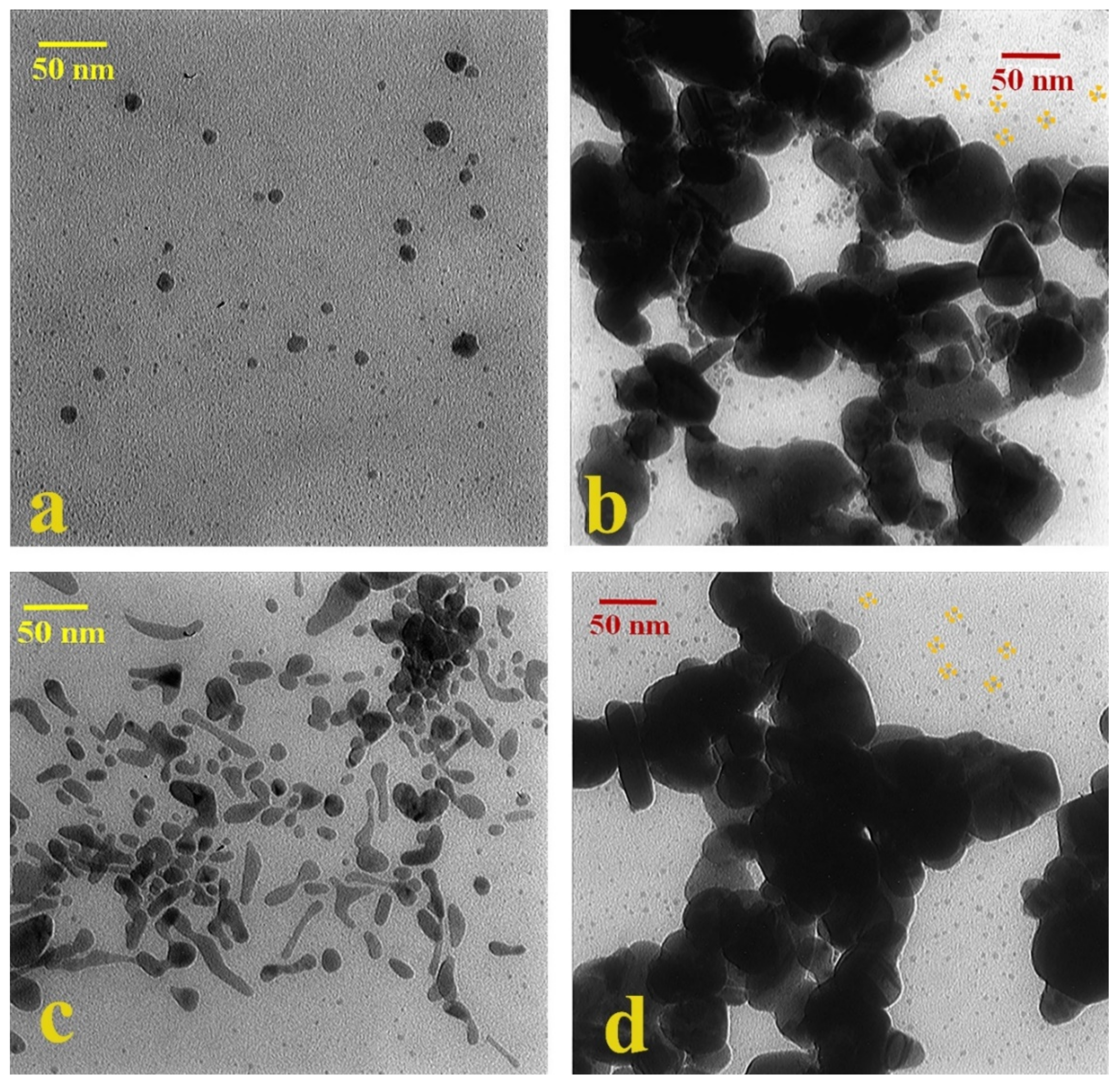 Sensors 22 02072 g004 Sensors 22 02072 g004