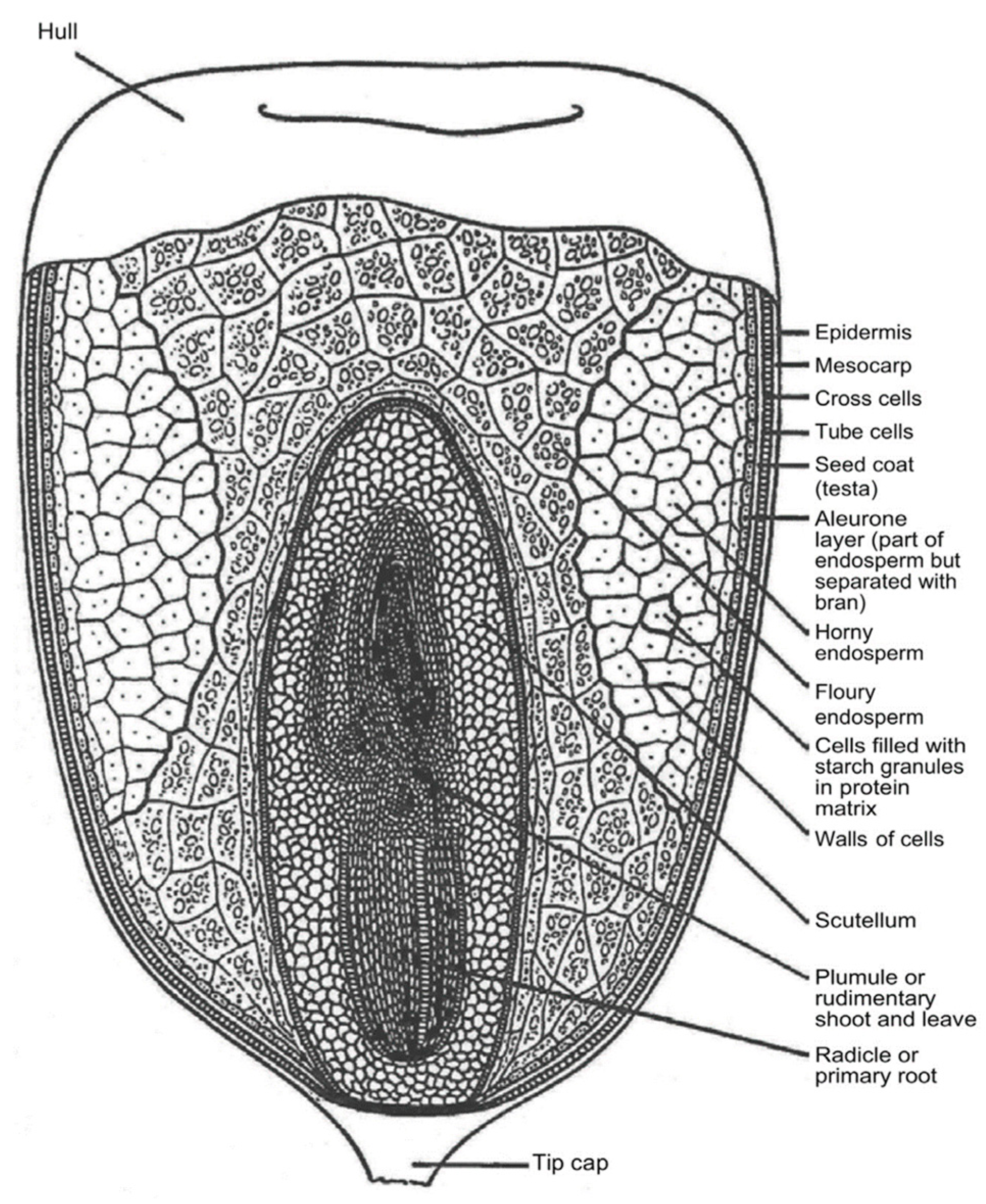 Sensors 22 02083 g003