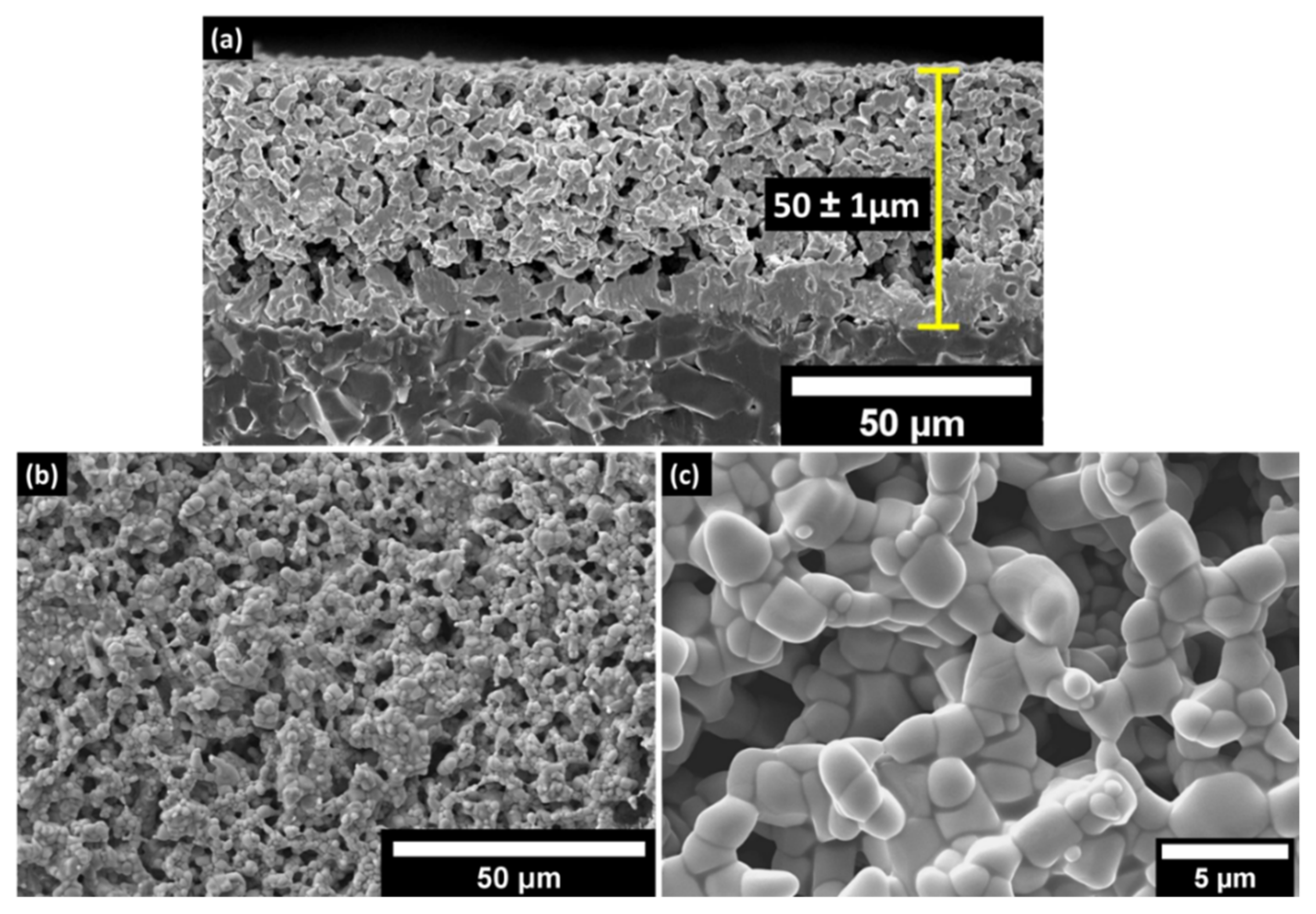 Sensors 22 02165 g005 Sensors 22 02165 g005