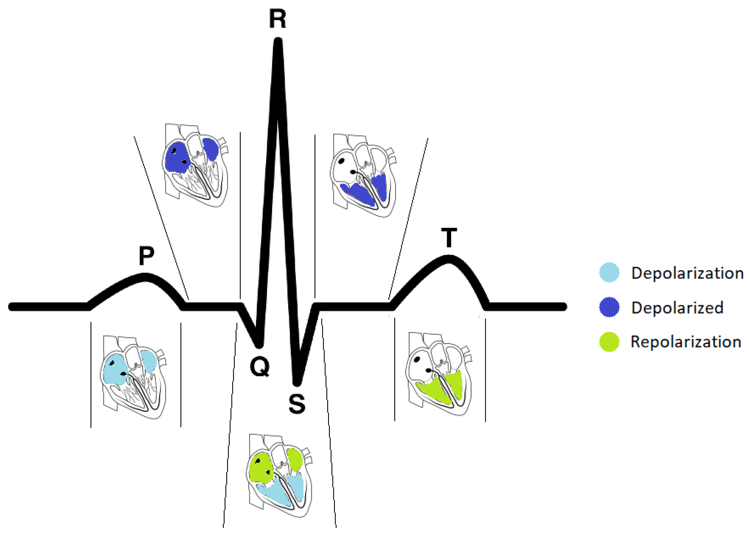 Sensors 22 02202 g001 Sensors 22 02202 g001